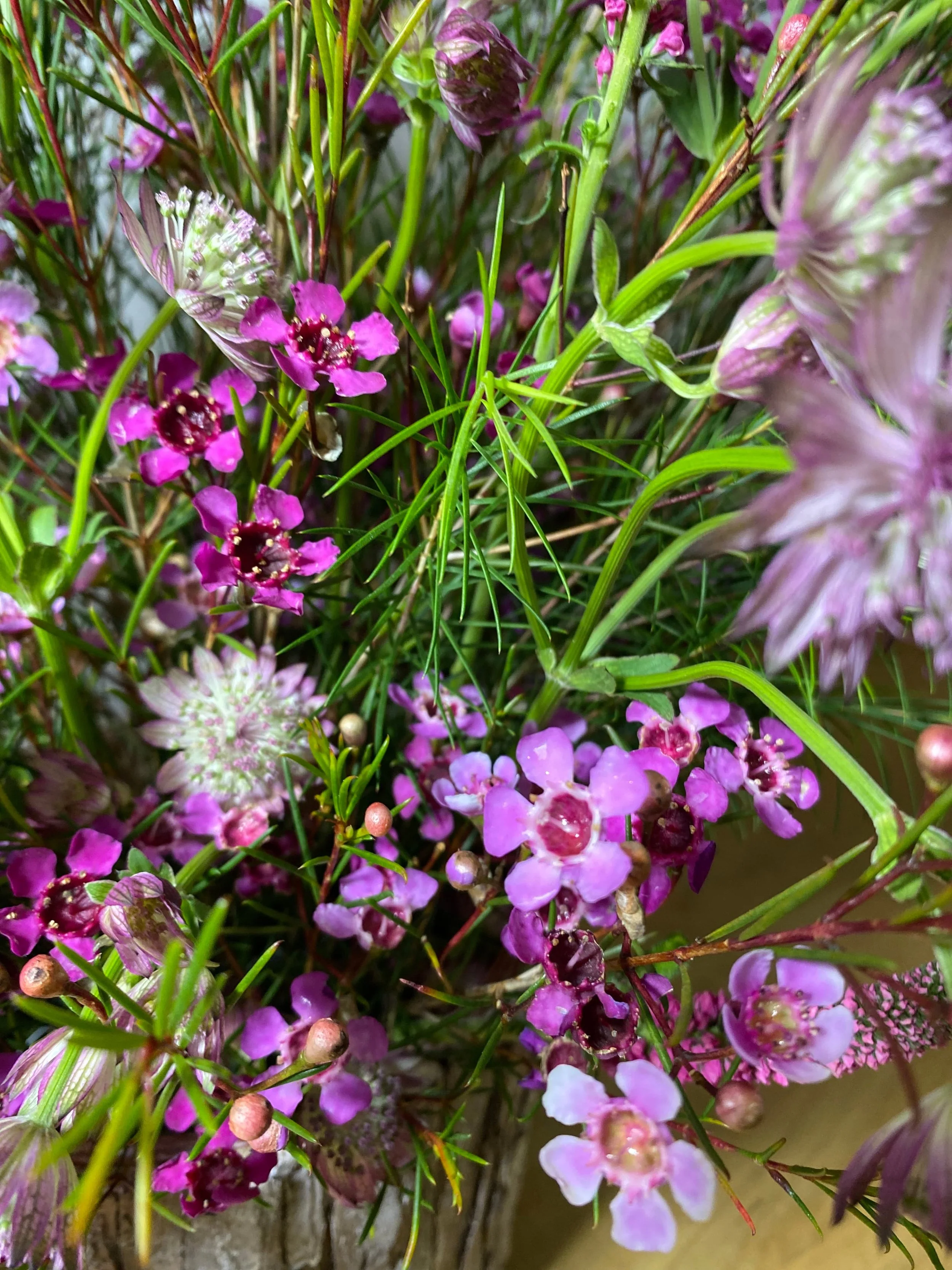 Flor Fresca entrega en Madrid Capital