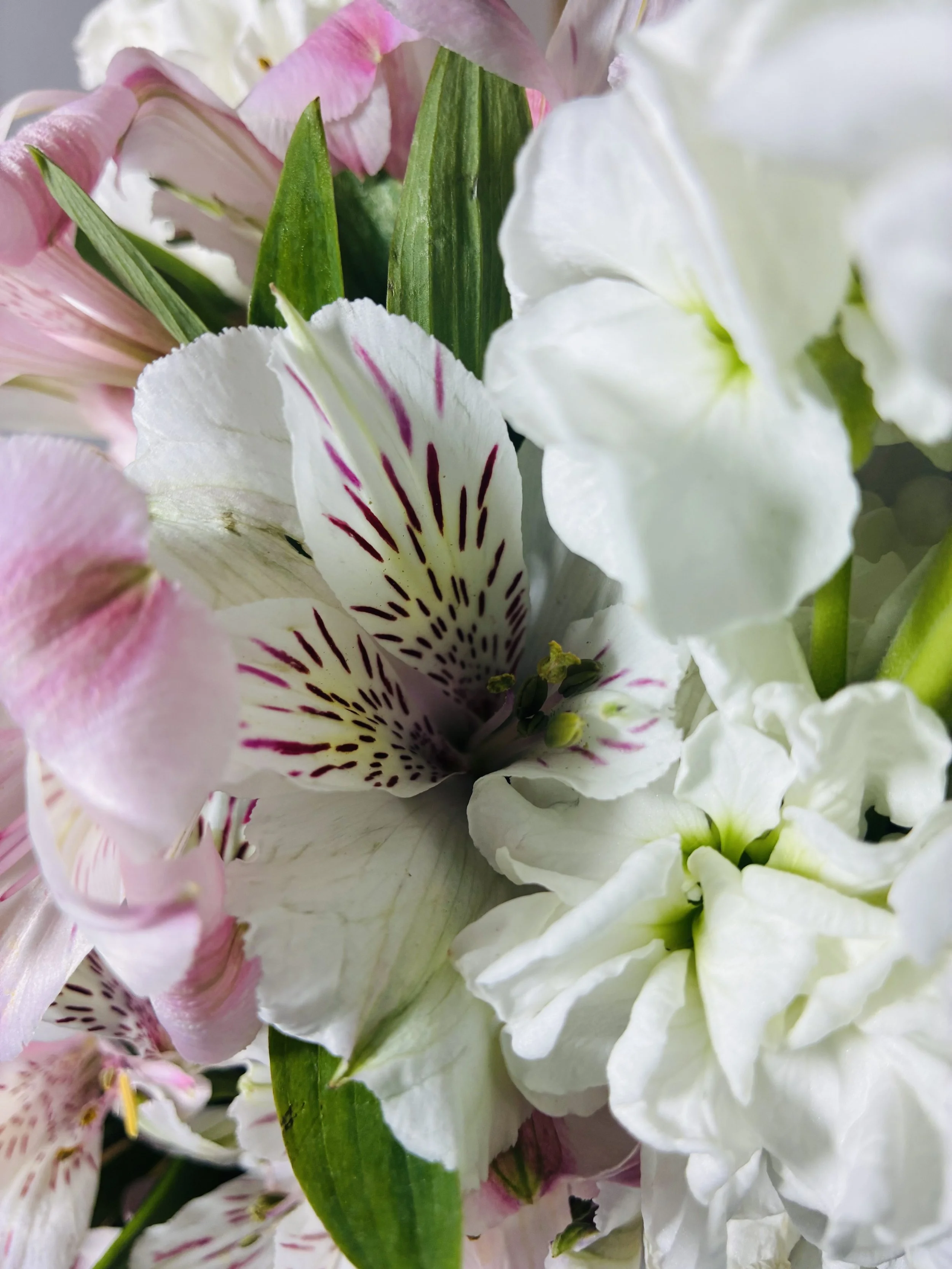 Ramo de flores romantico Madrid | Betty and Brooke