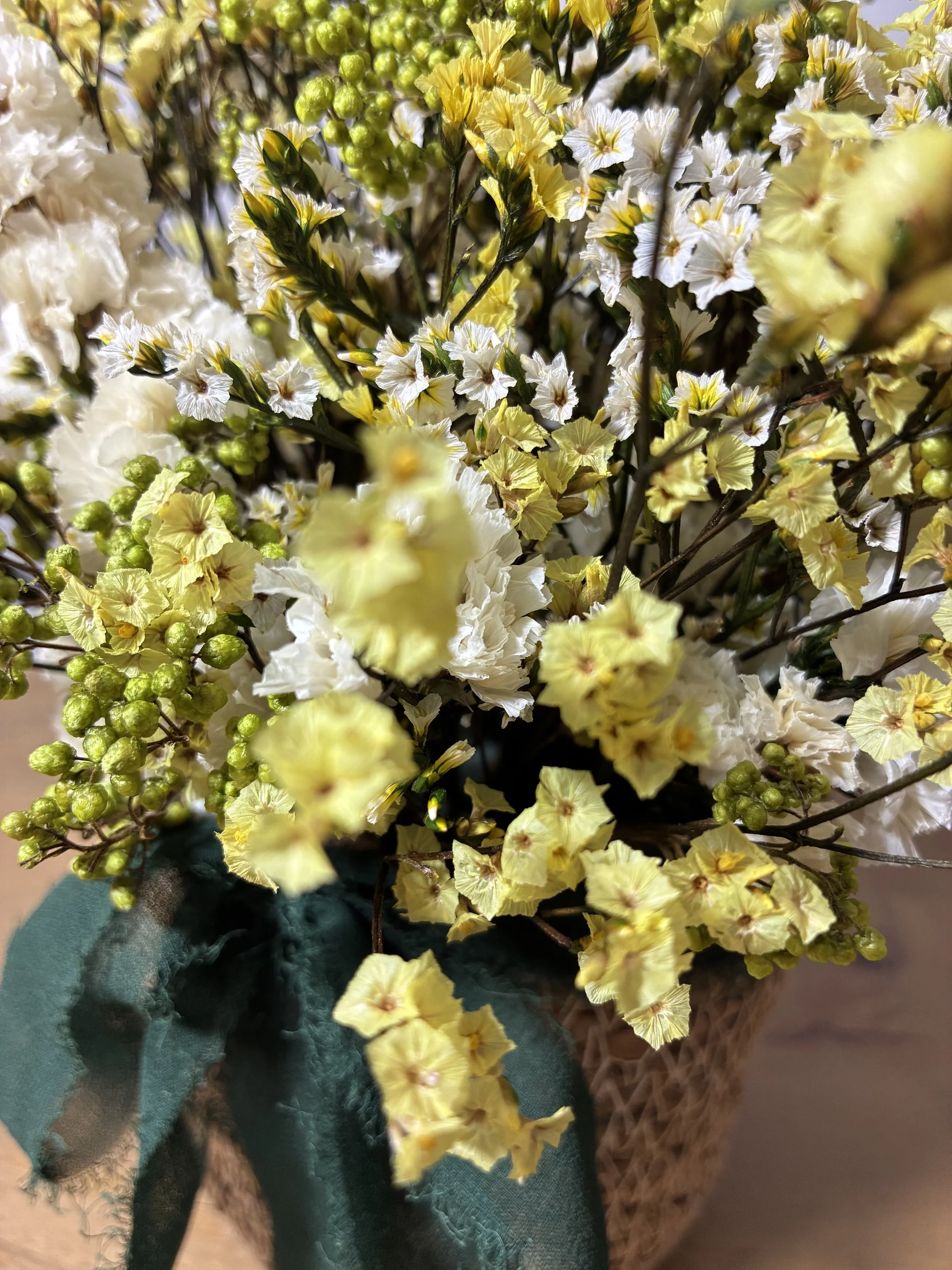 Flores preservadas que duren años | Betty and Brooke