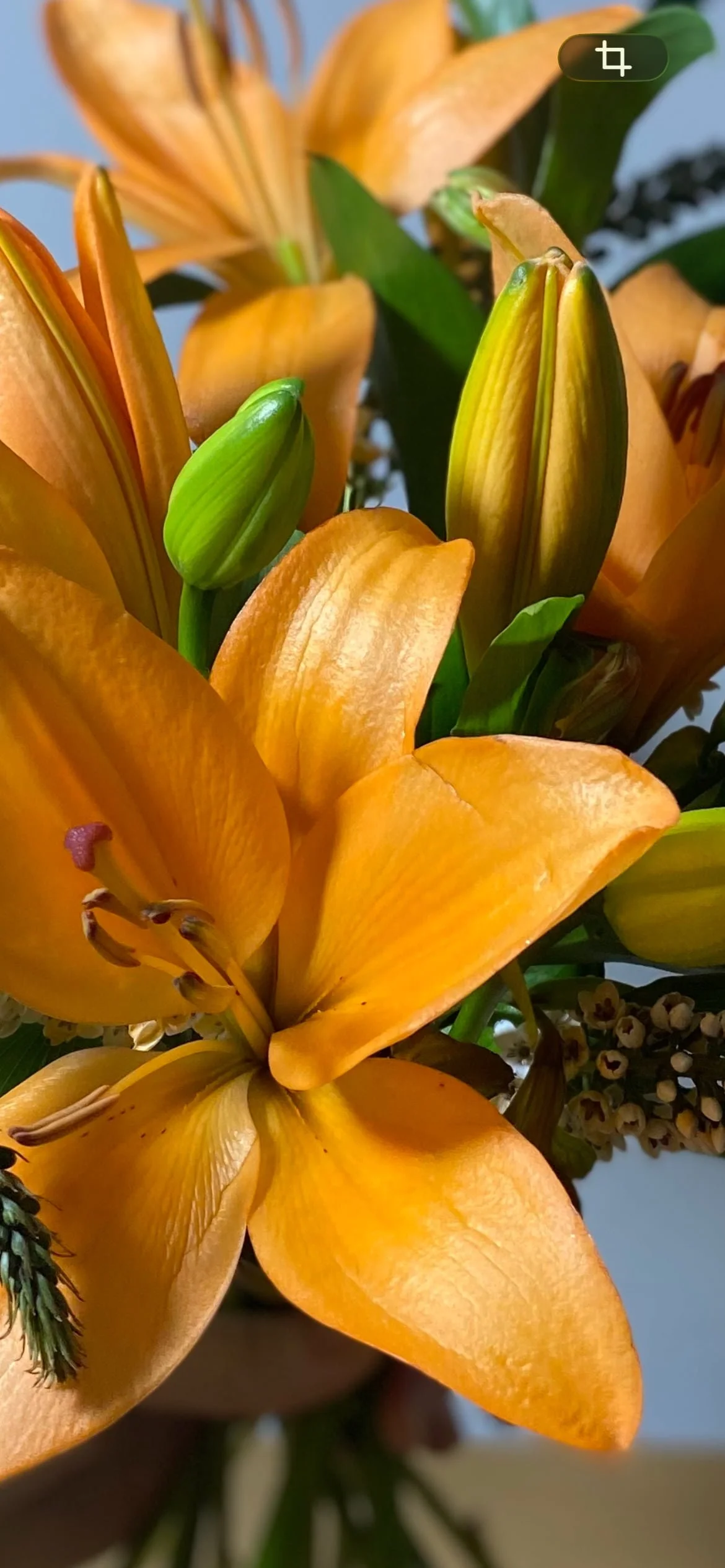 Regalar Flores Naranjas en Madrid | Betty and Brooke