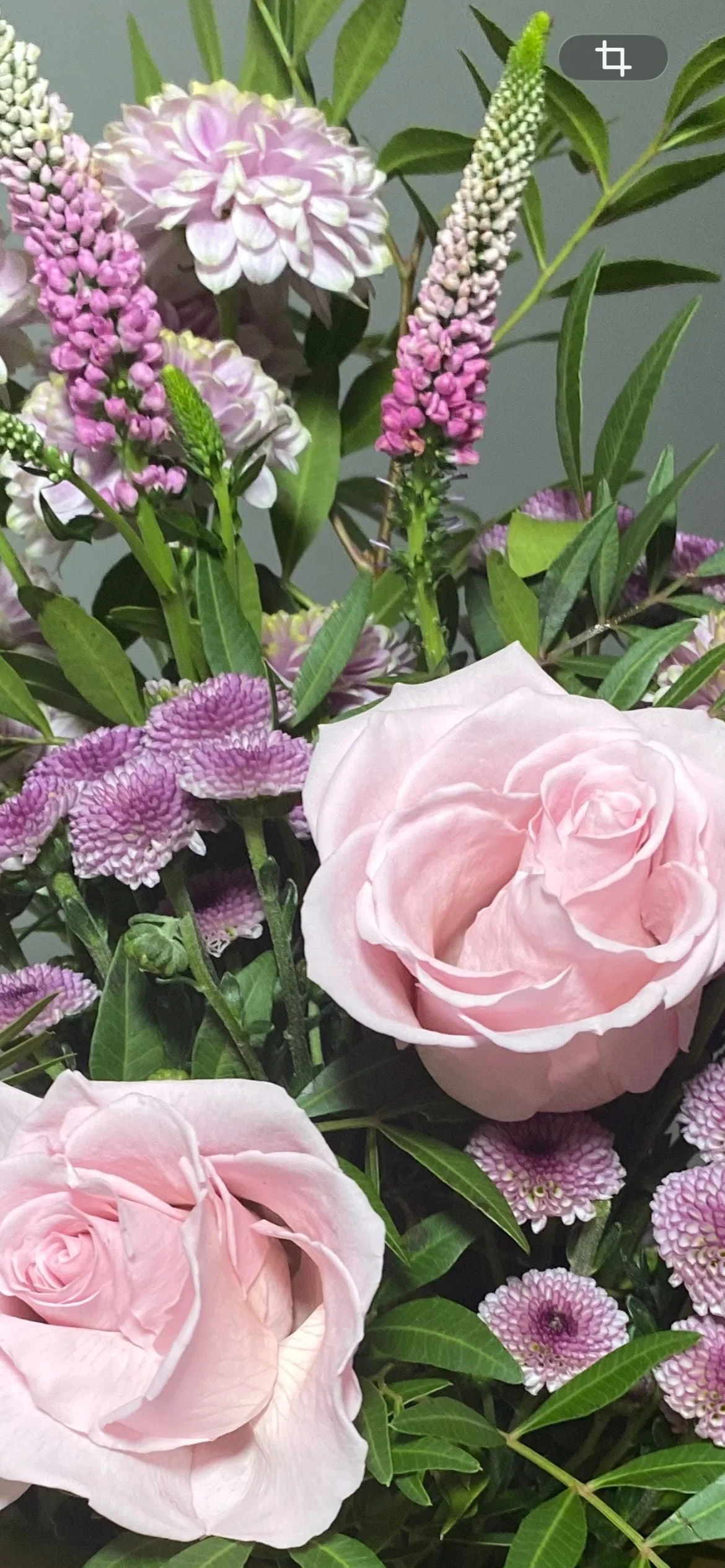 Regalar Flores Rosas en Madrid | Betty and Brooke