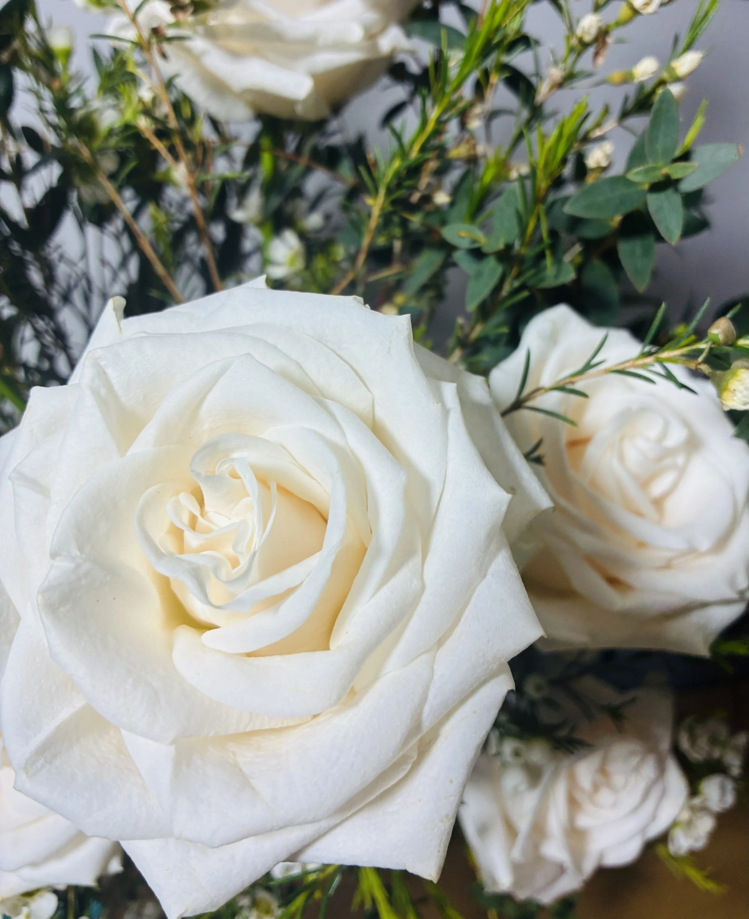 Rosas Dia de la Madre Madrid | Betty and Brooke