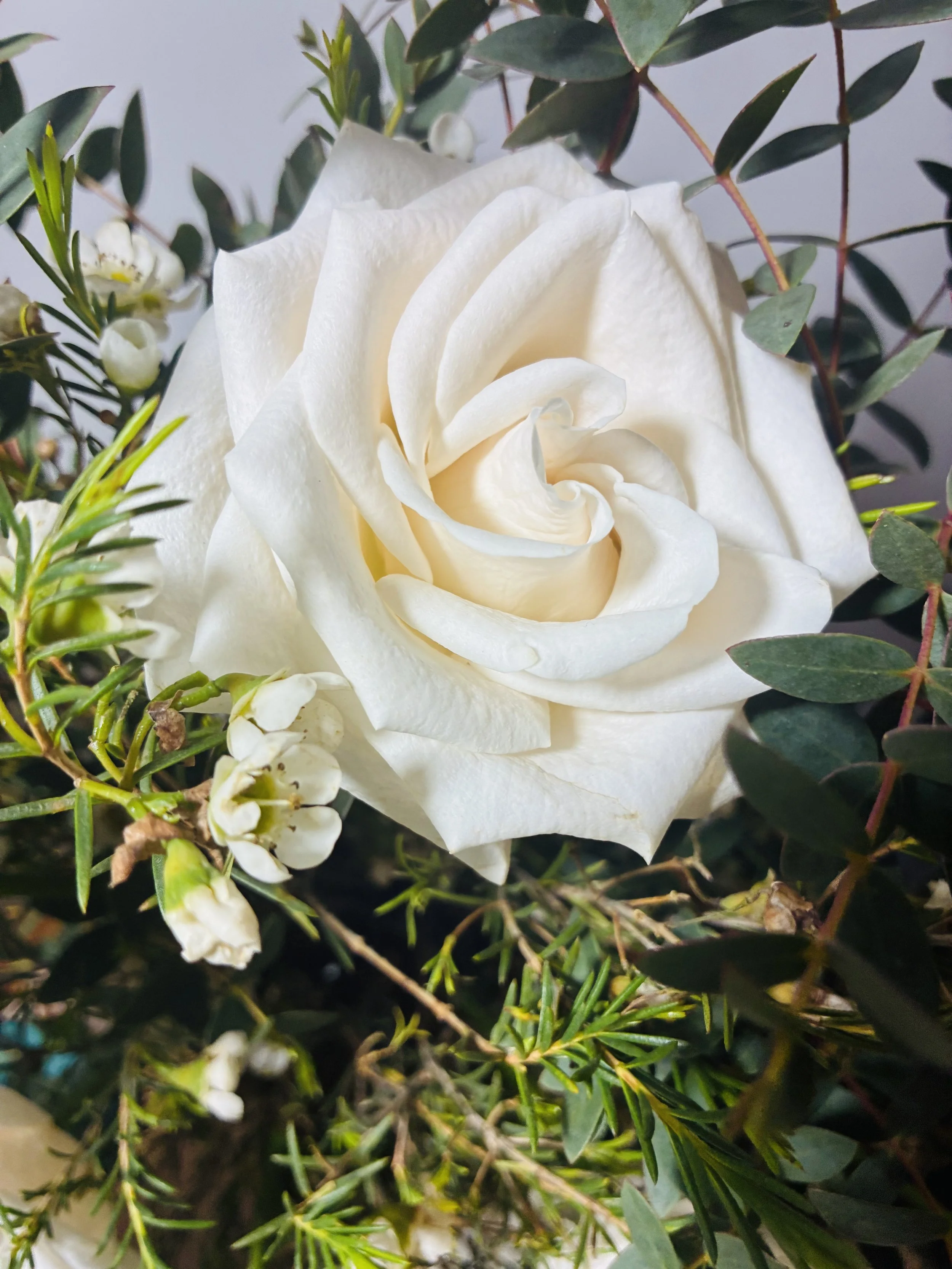 Ramo de Rosas a Domicilio en Madrid | Betty and Brooke