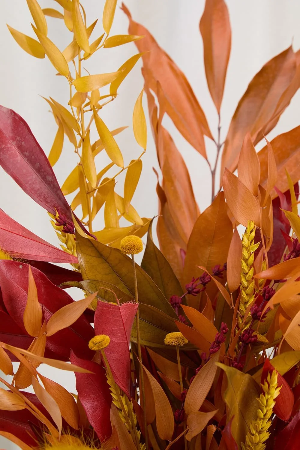 Jarron Flores Preservadas a domicilio España