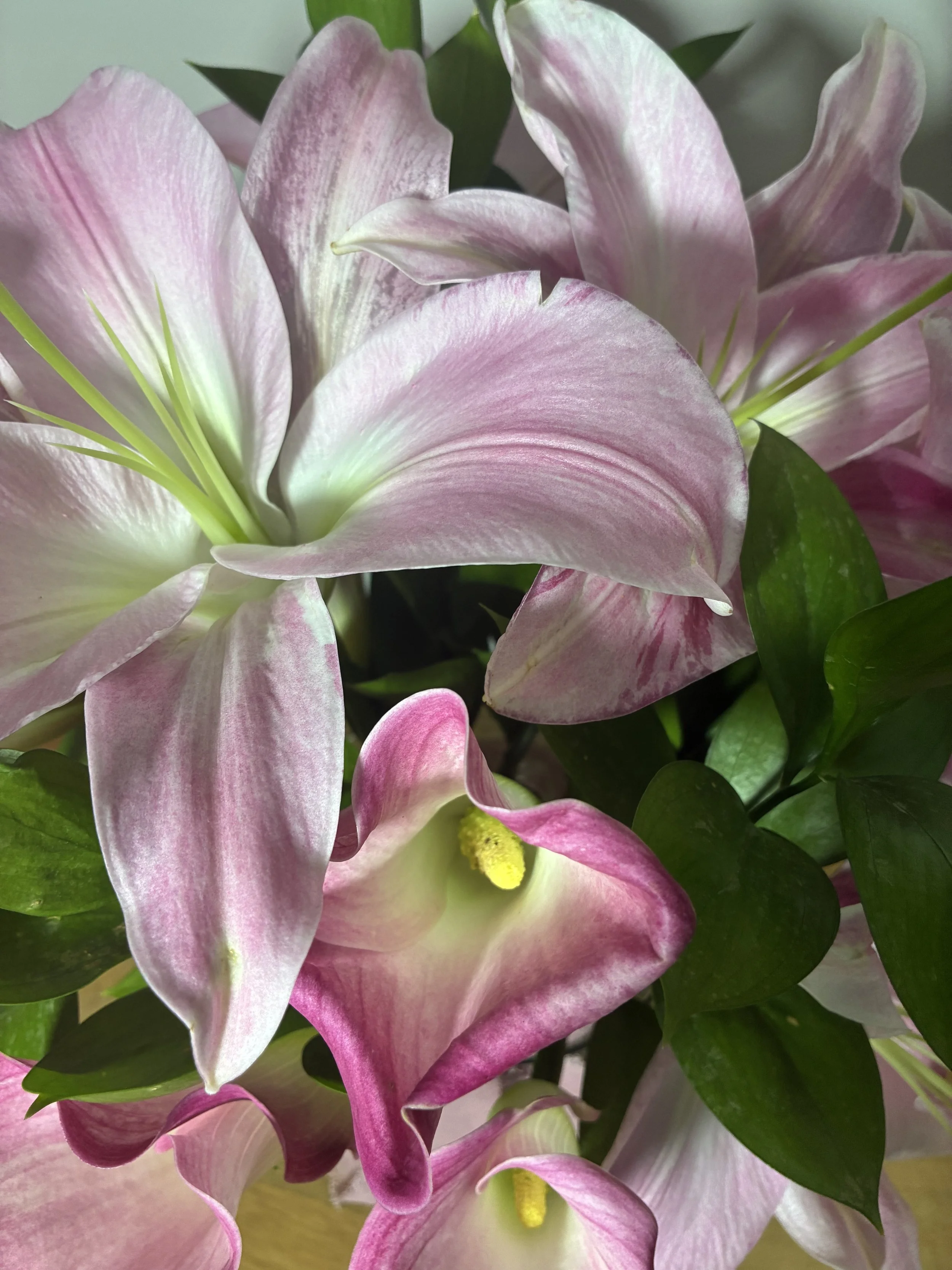 Flores rosas en jarrón con entrega en Madrid | Betty and Brooke