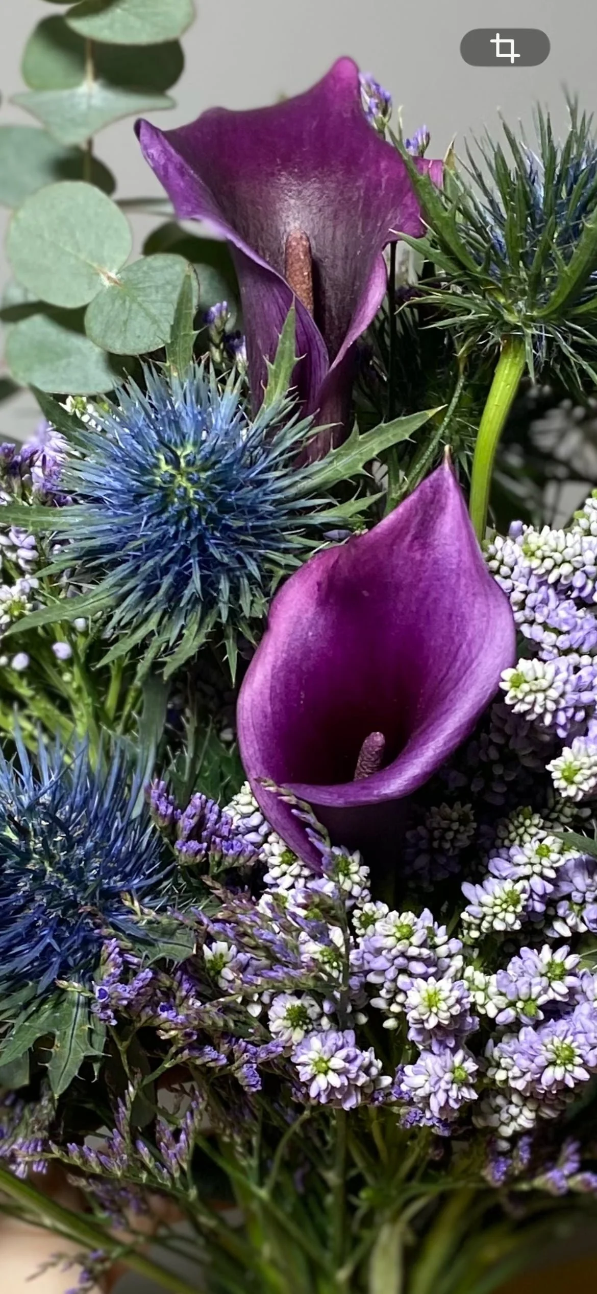Regalar Flores Moradas en Madrid | Betty and Brooke