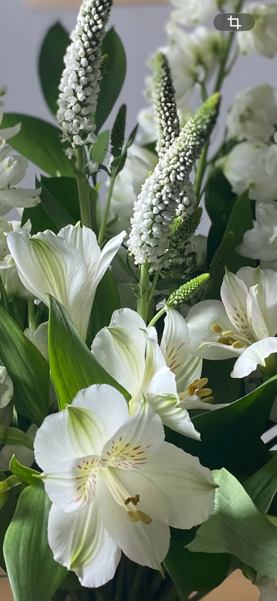 Regalar Flores Blancas en Madrid | Betty and Brooke
