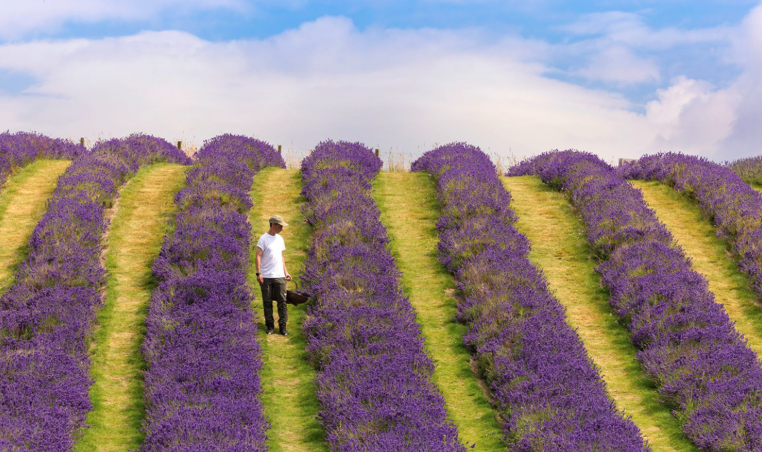 Agritourism: From Side Income to Serious Opportunity