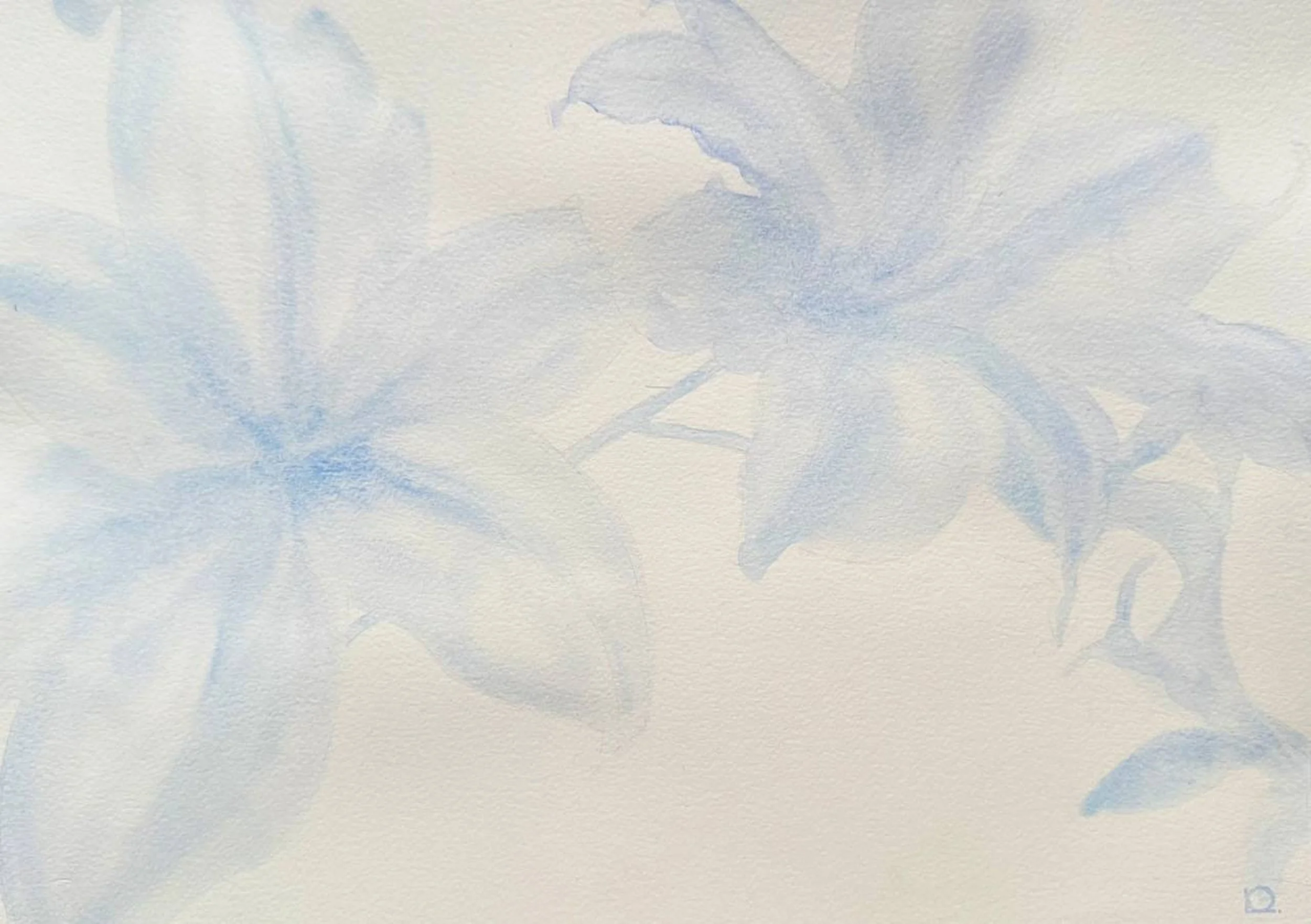 Faint blue and gray watercolor painting of a cat lying on its side with its paws curled under its body.