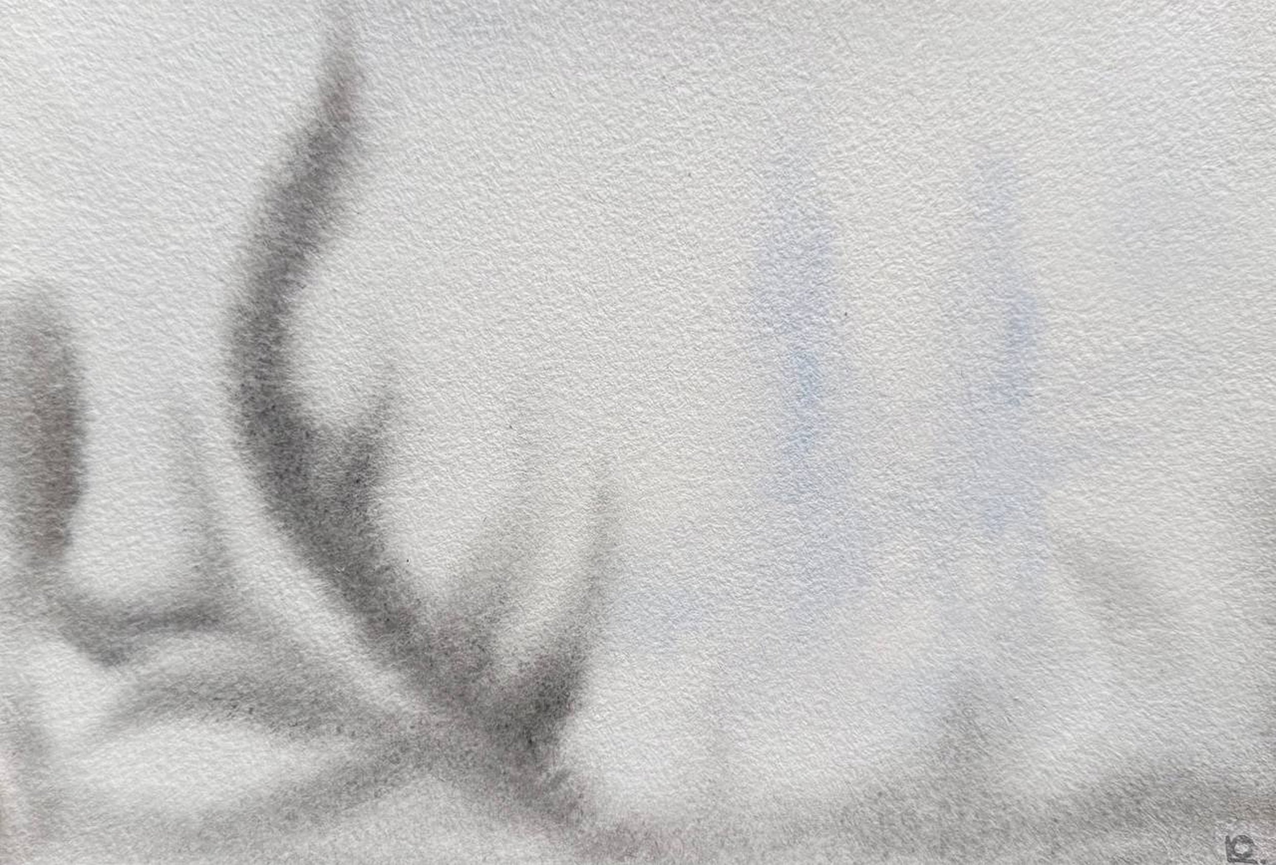 ECHO OF PRESENCE