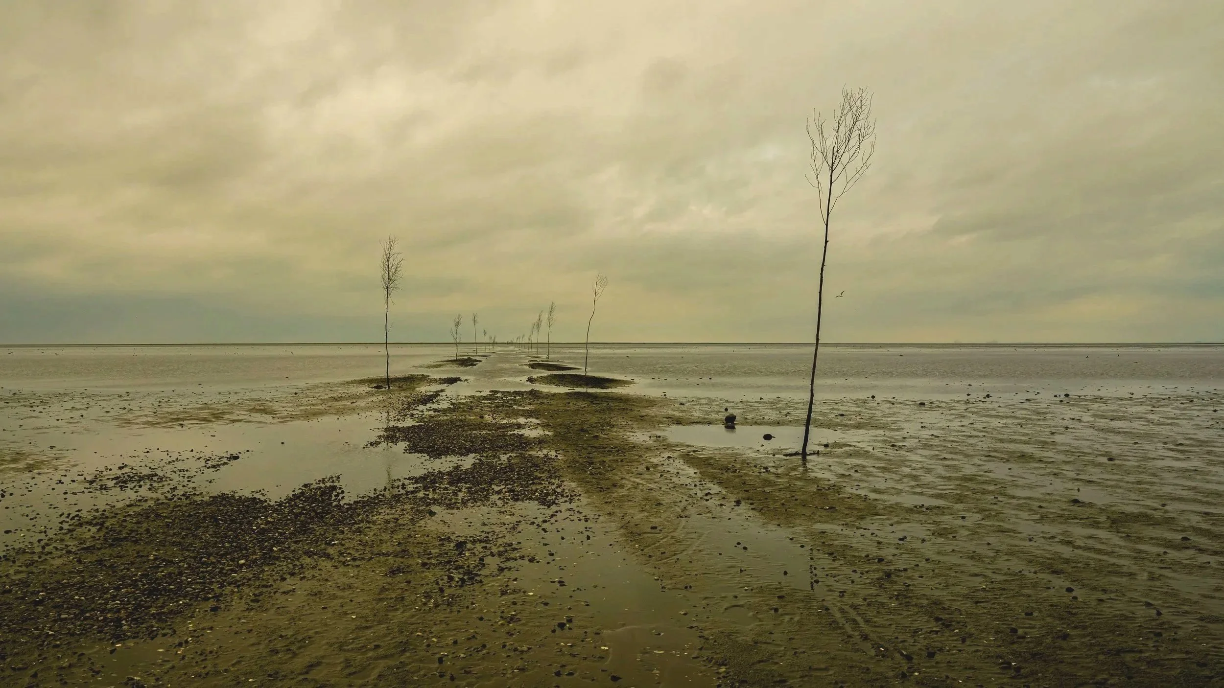 Part of the sea floor marked for navigation when floded.