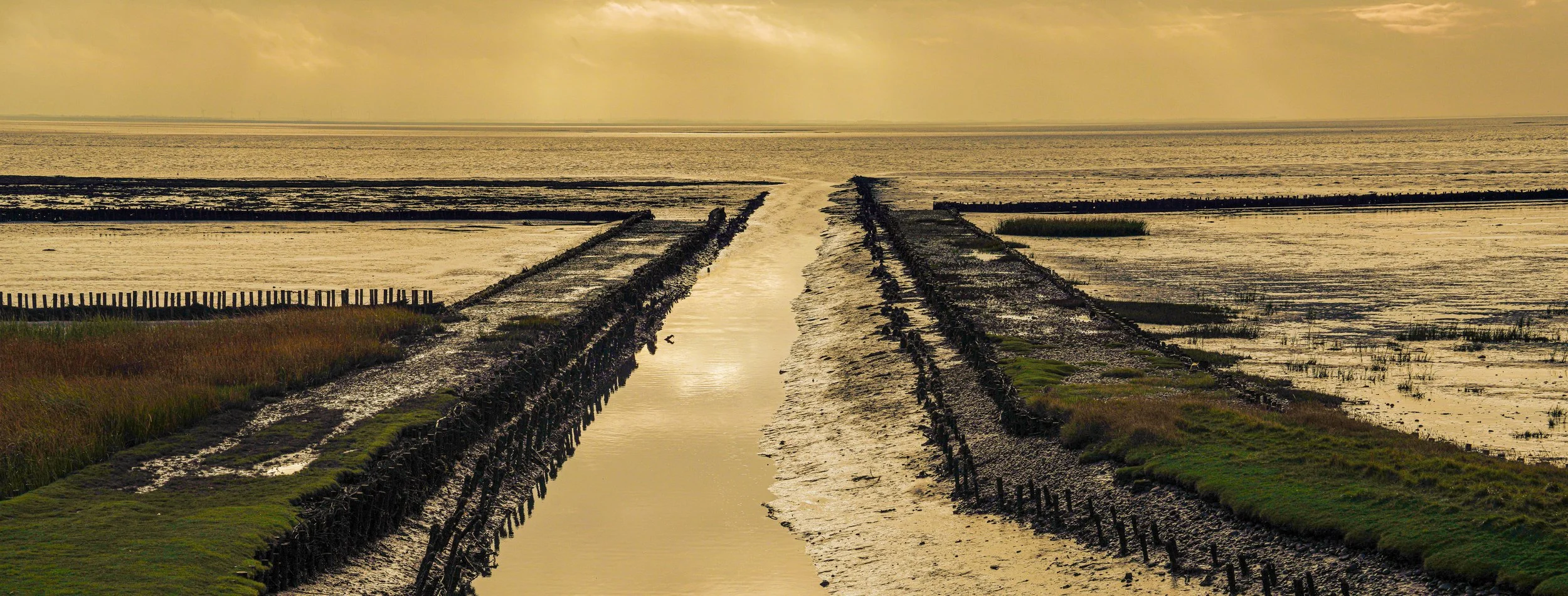 The horizon never seems to end.