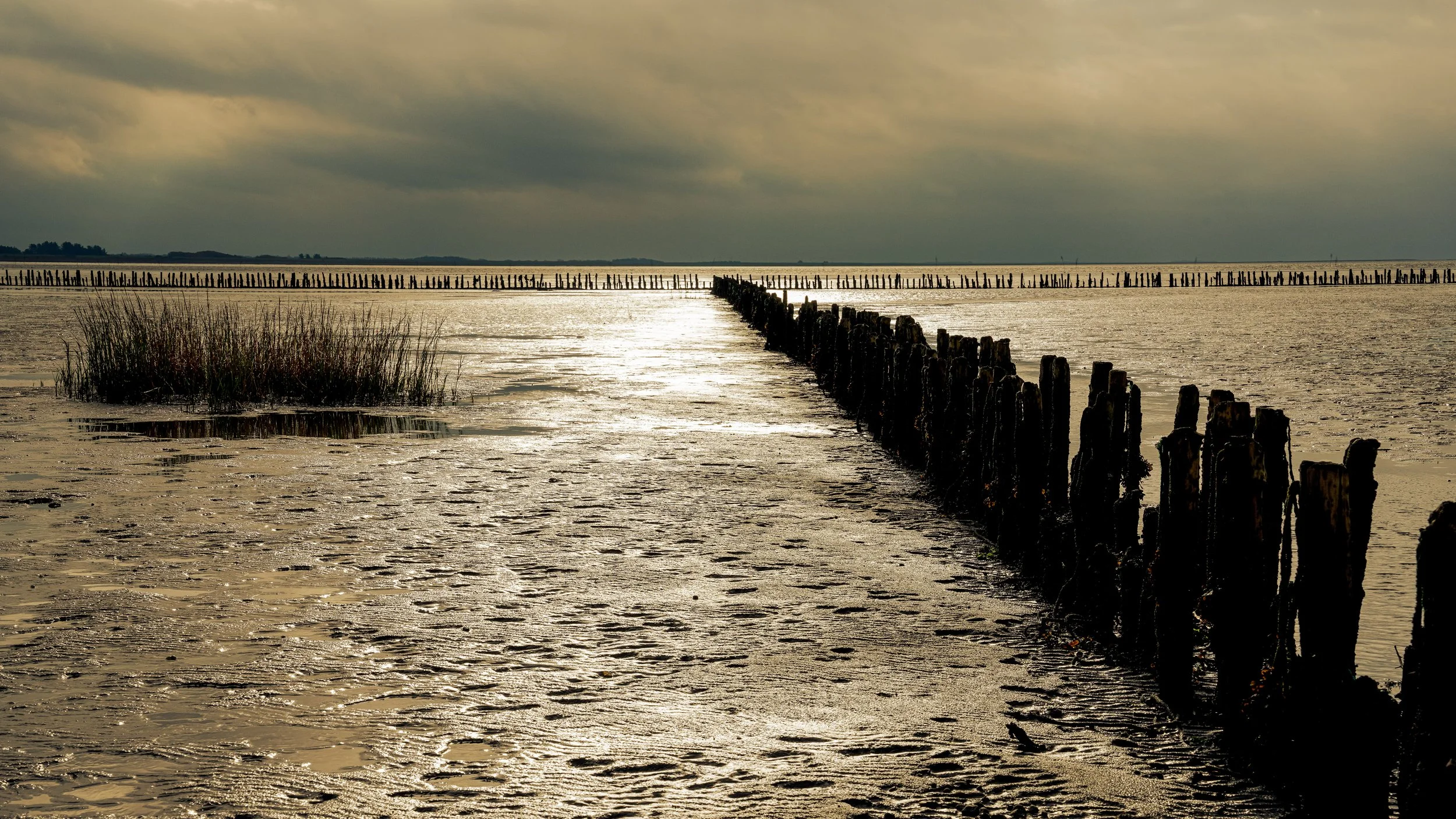 Vadehavet (Wadden Sea) is the largest national park in Denmark. The shallow sea areas are subject to tidal changes.