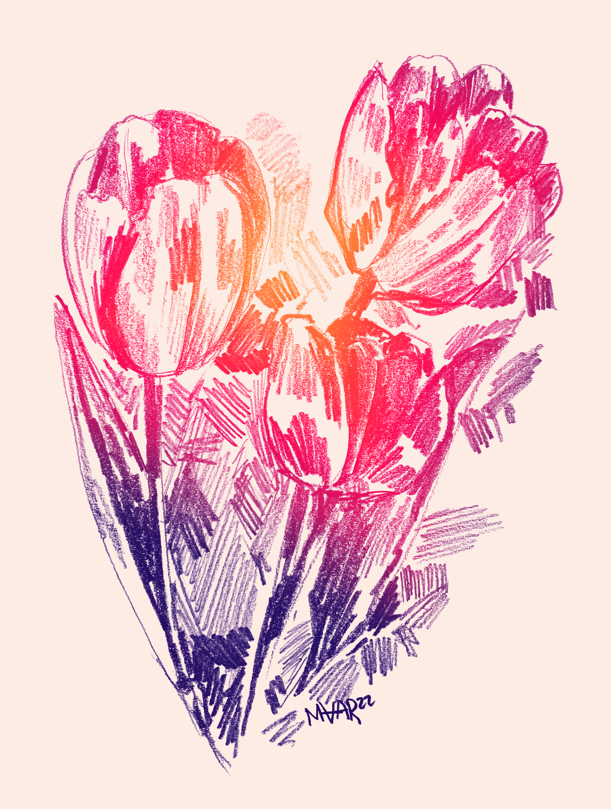 tulips.png