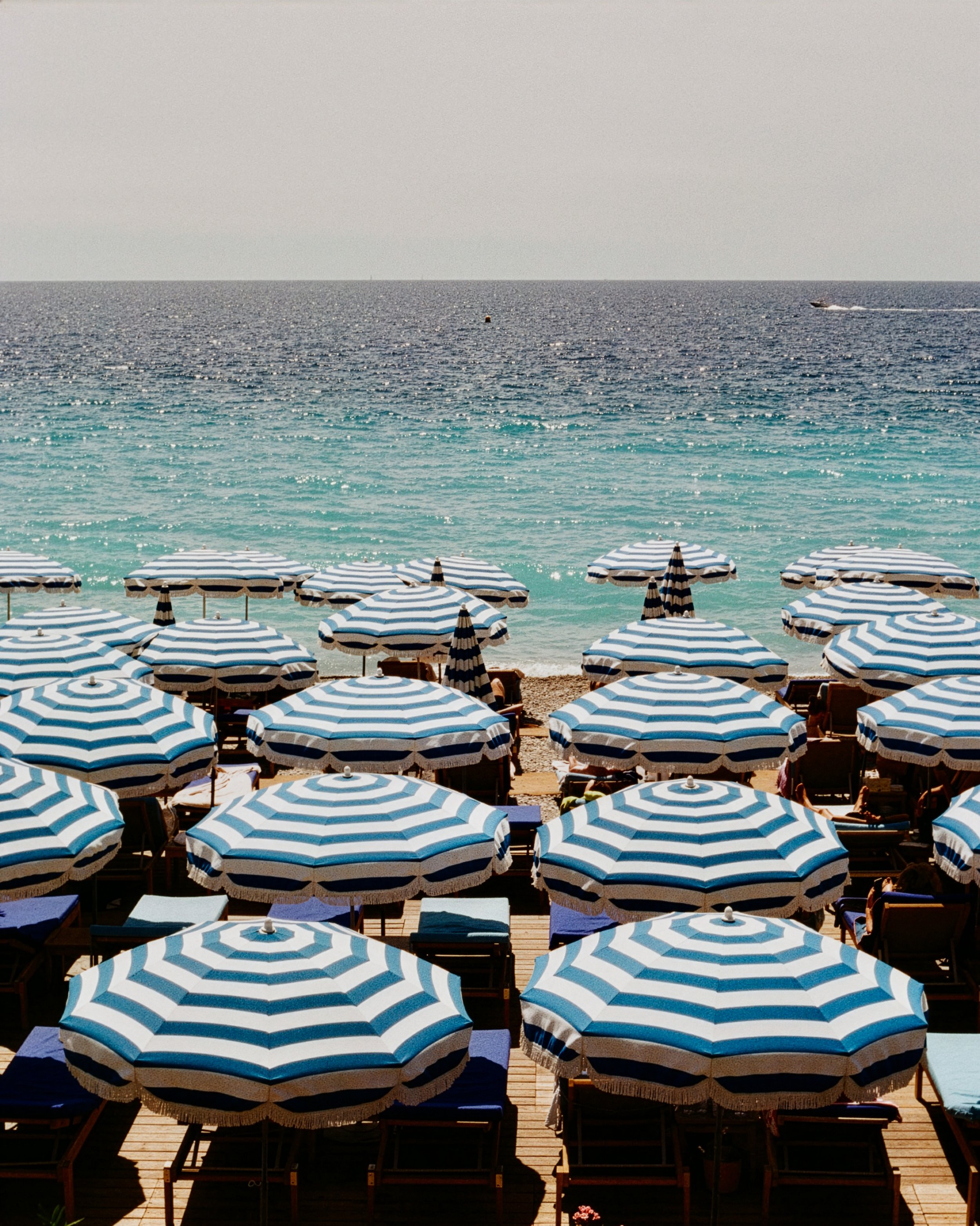 South of France // 2025 // Analogue