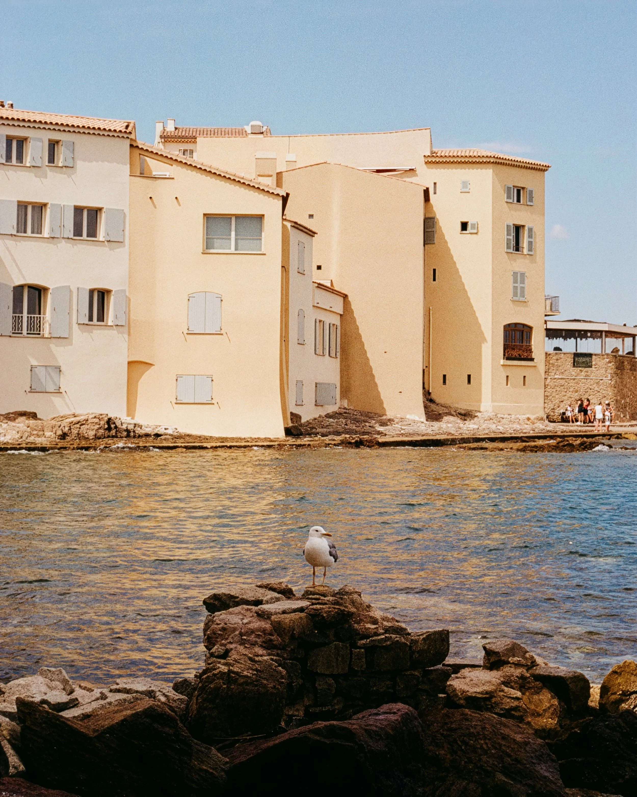 South of France // 2025 // Analogue