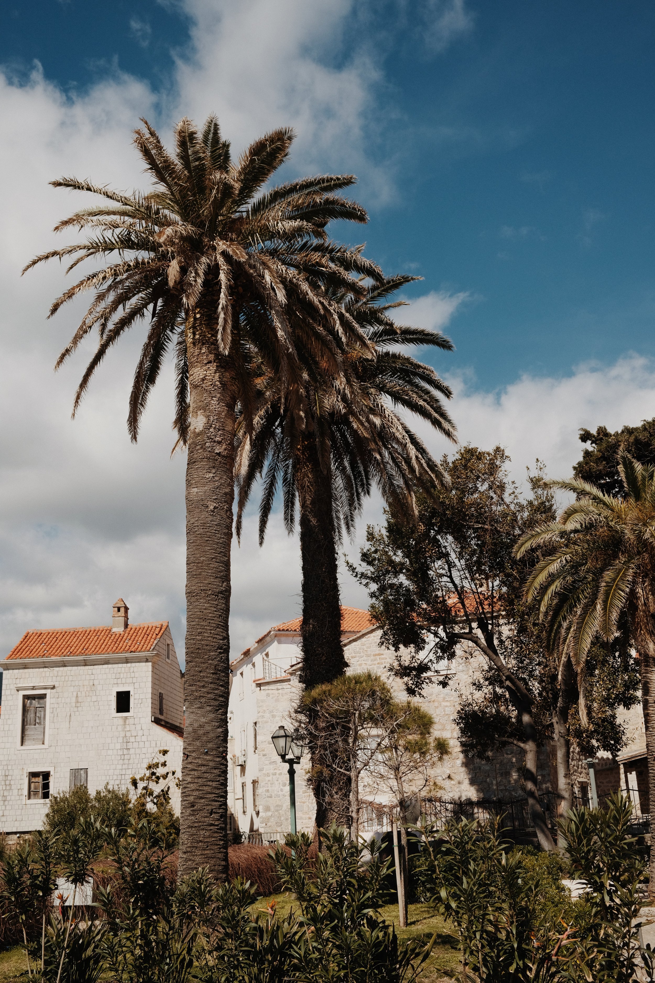 Montenegro, Budva | Digital | Fujifilm x100v