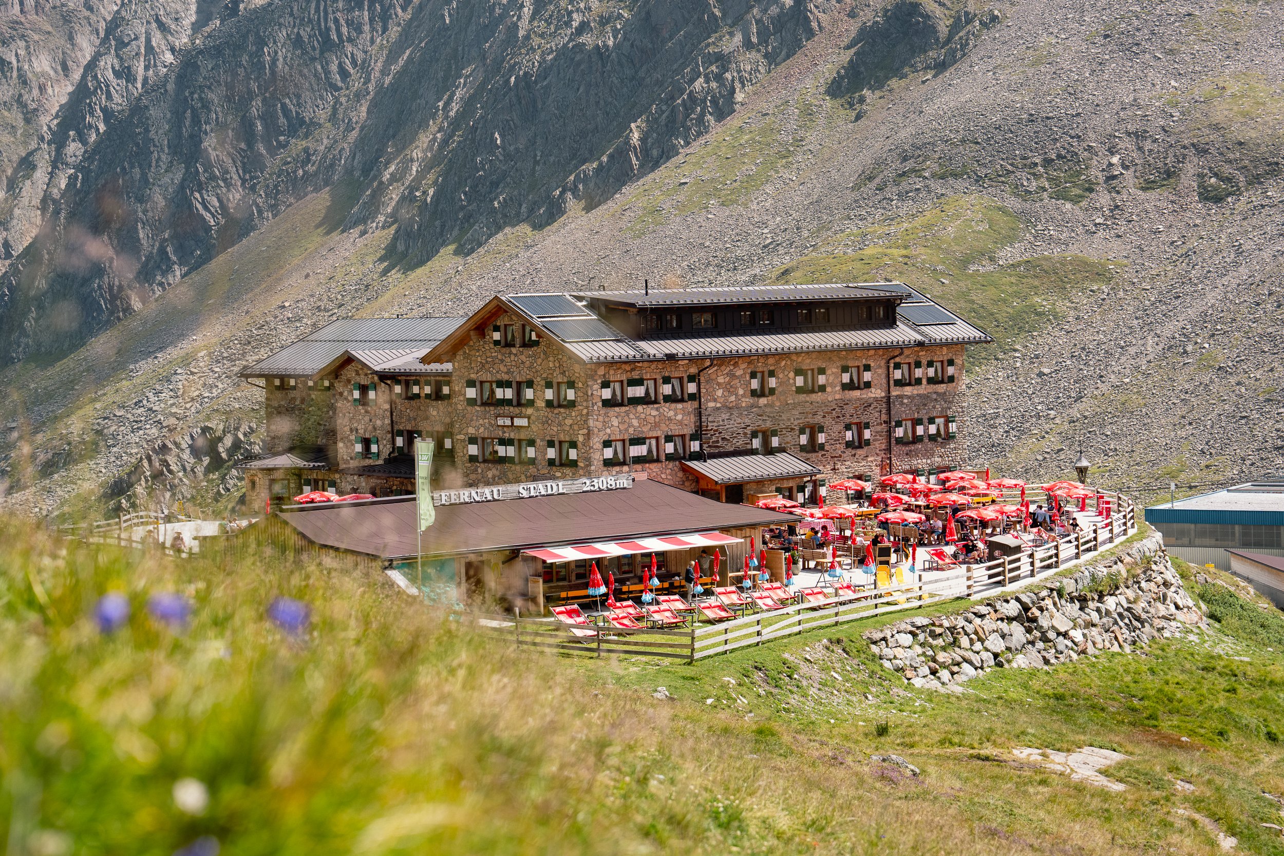 arminribis_20250813_10.jpg