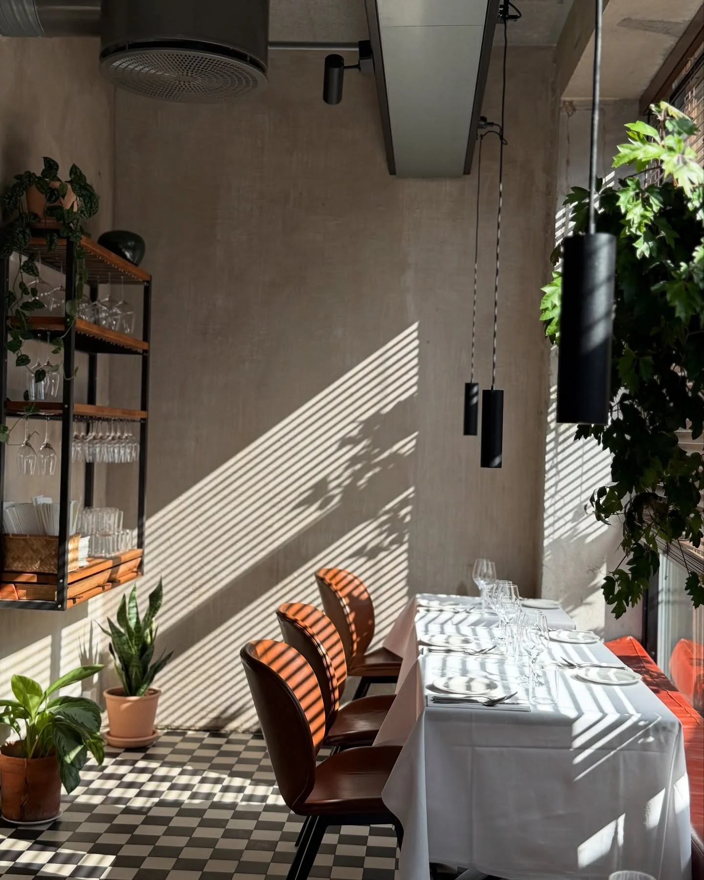 Recently at Little Wolf. 

This week we also had a bit of an error with our booking system whereby people were able to book on another platform as well as the platform we use. We sincerely apologise for the technical error.

Open today as usual from 