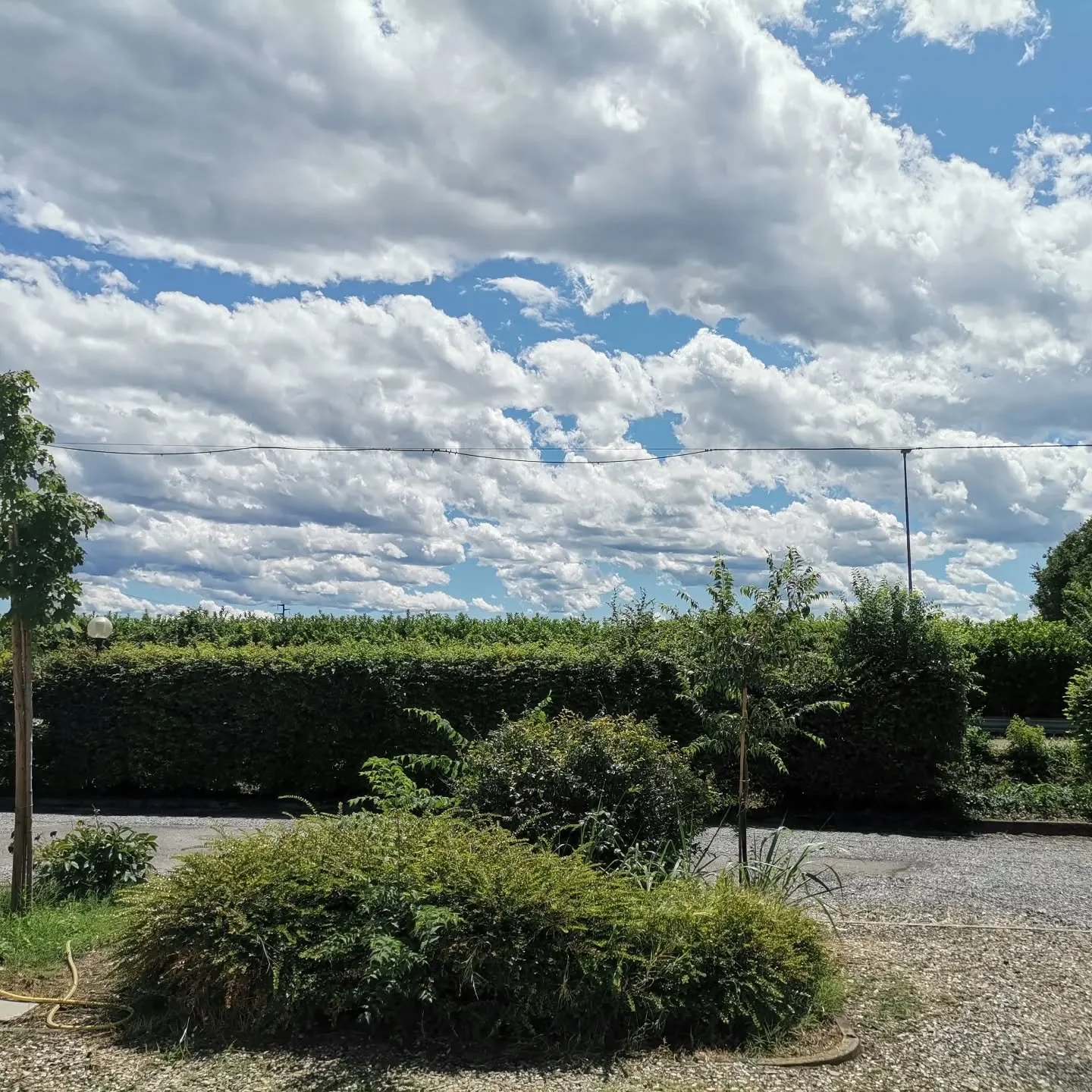 Der Hummel Uber OpenTea.. 
#skylover #opentea #clouds #nofilter #angels #wimwendersfilm