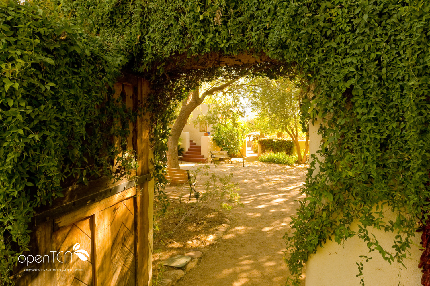 Entrata Accogliente di un Agriturismo italiano, con edera e luci del mattino