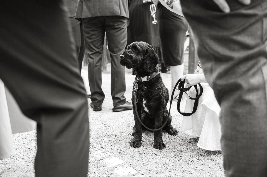 Photograph all the small details that the bride and groom won't normally see