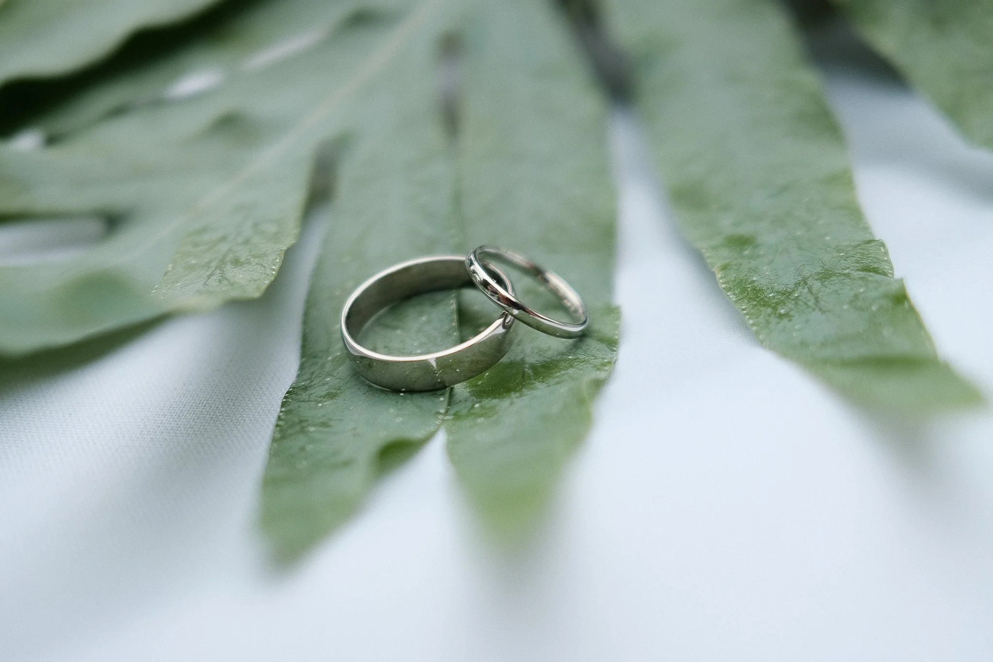 Wedding rings on a leaf