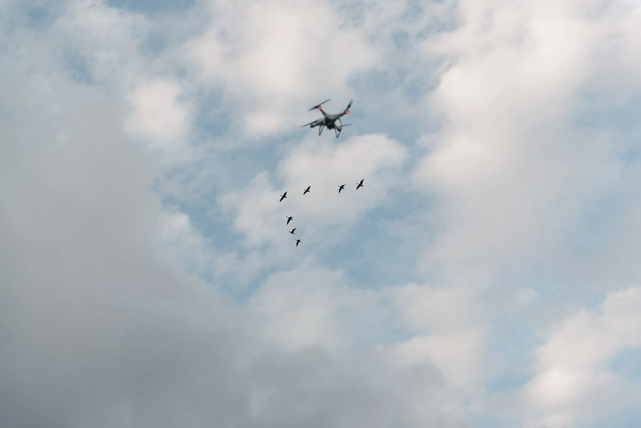 flying machines