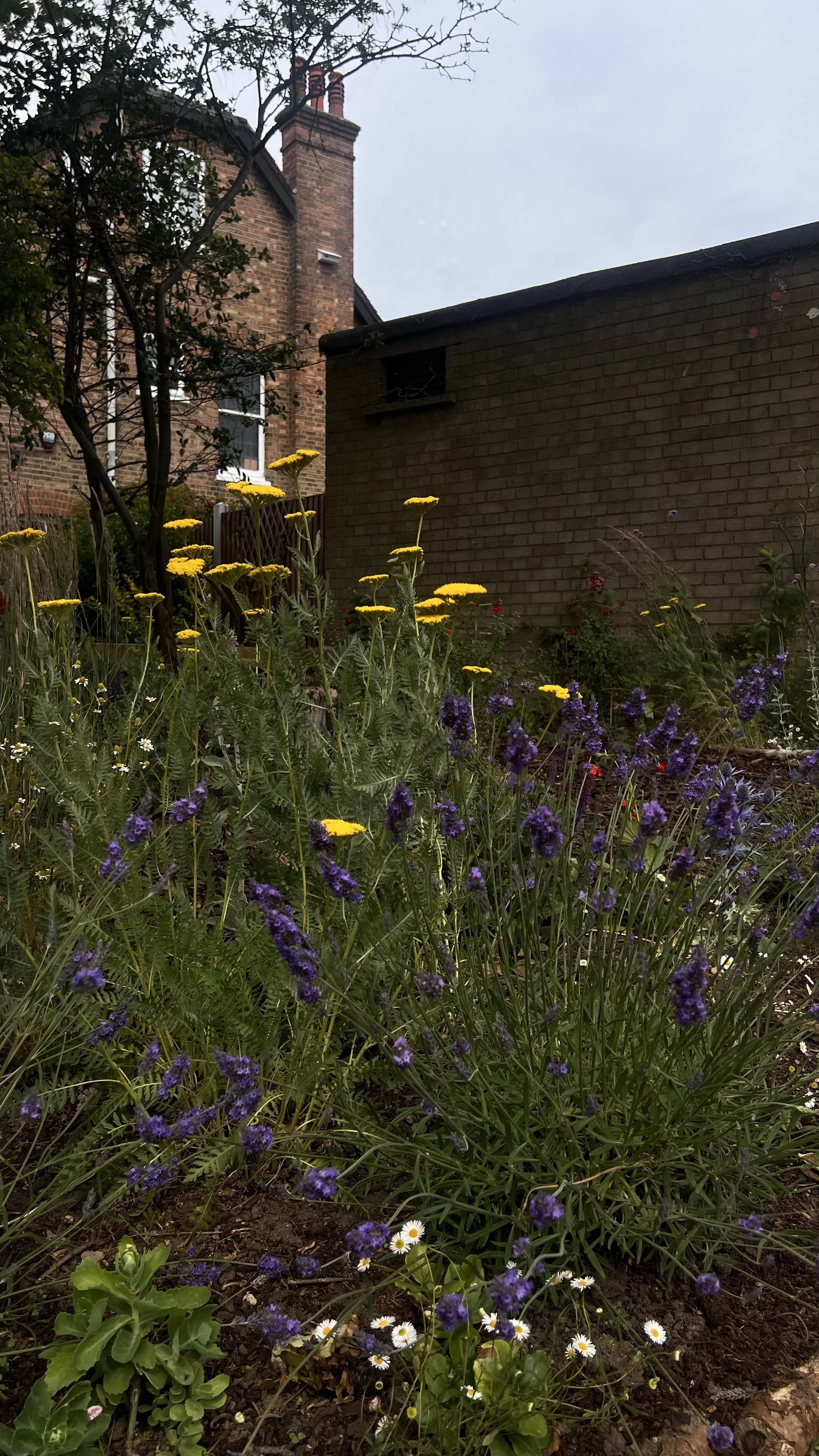 IMG_4008.jpeg