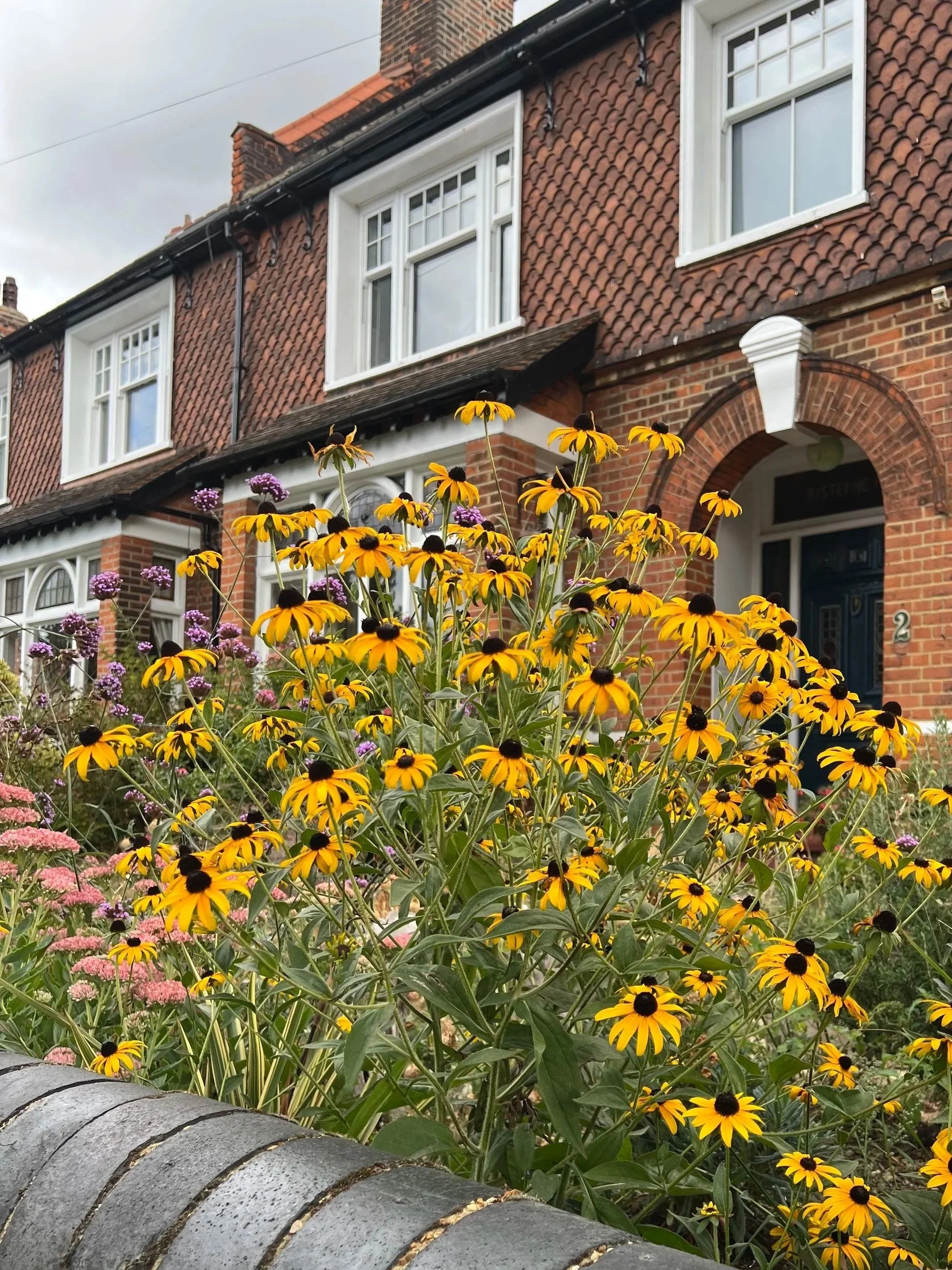 Front garden with Rudbeckia spilling over the wall