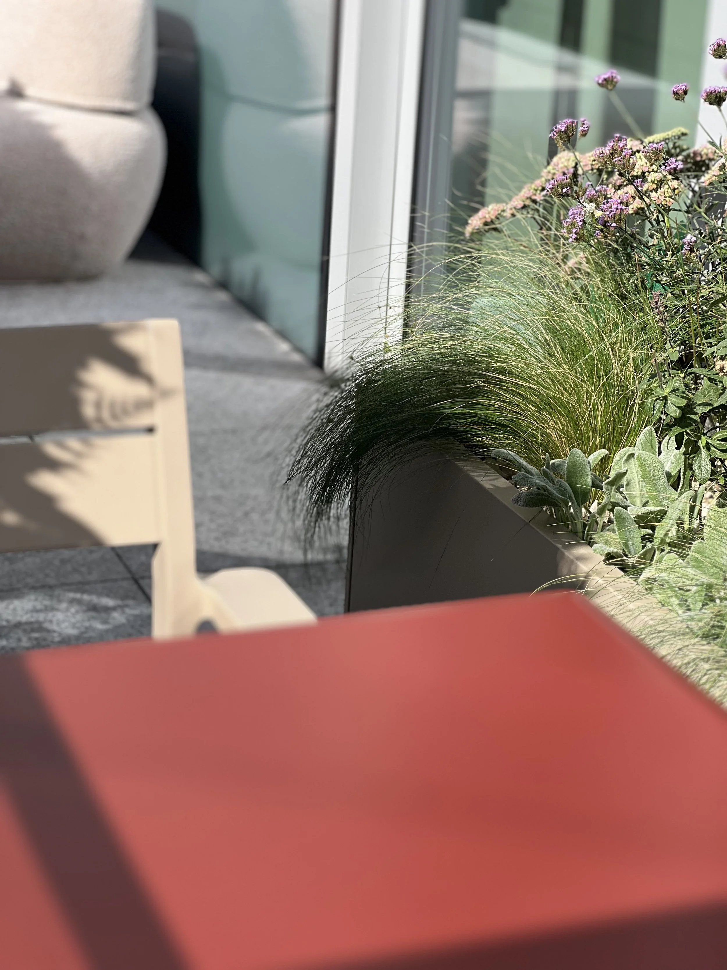 IMG_6964.jpeg