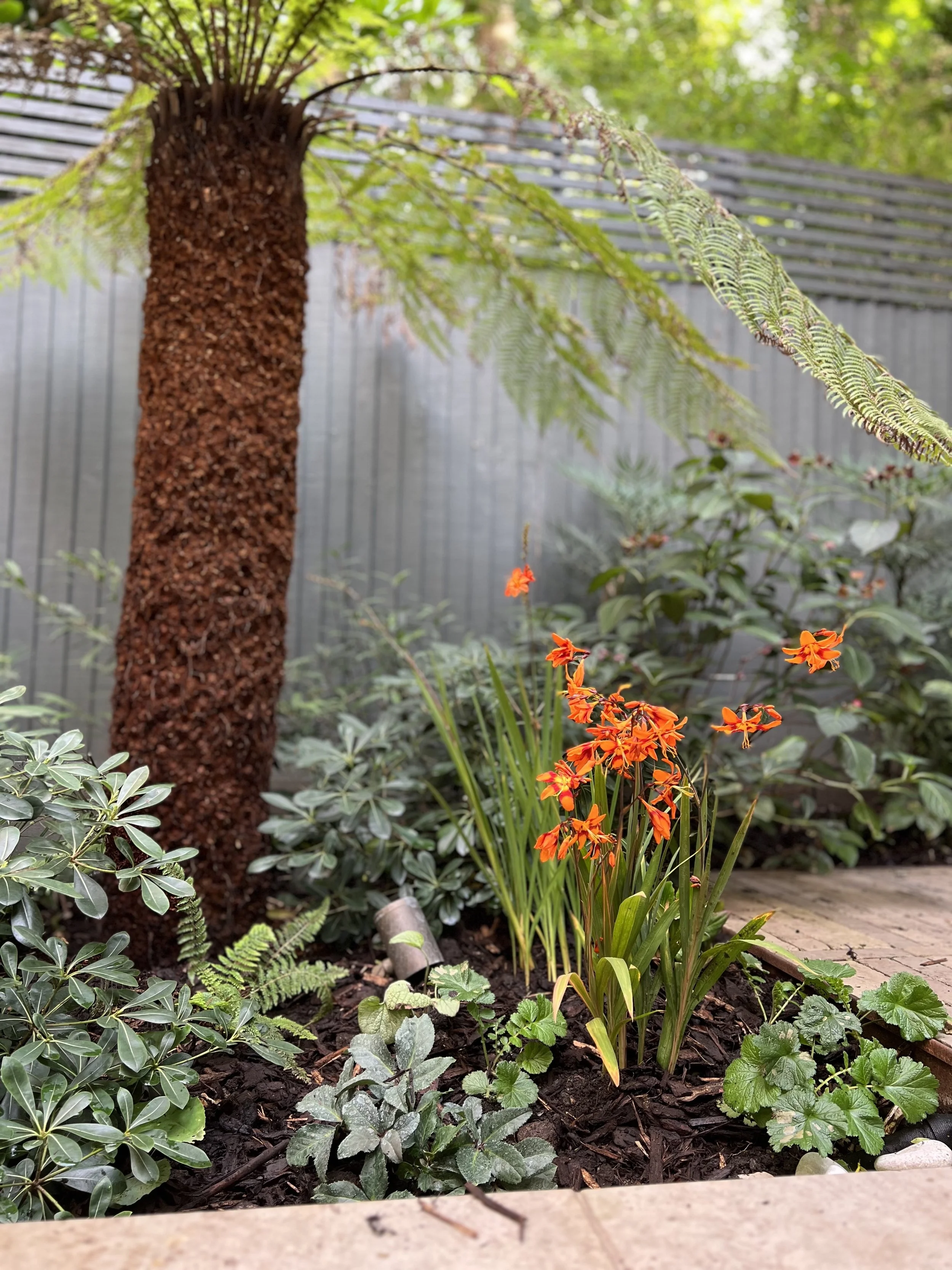 West London, exotic courtyard