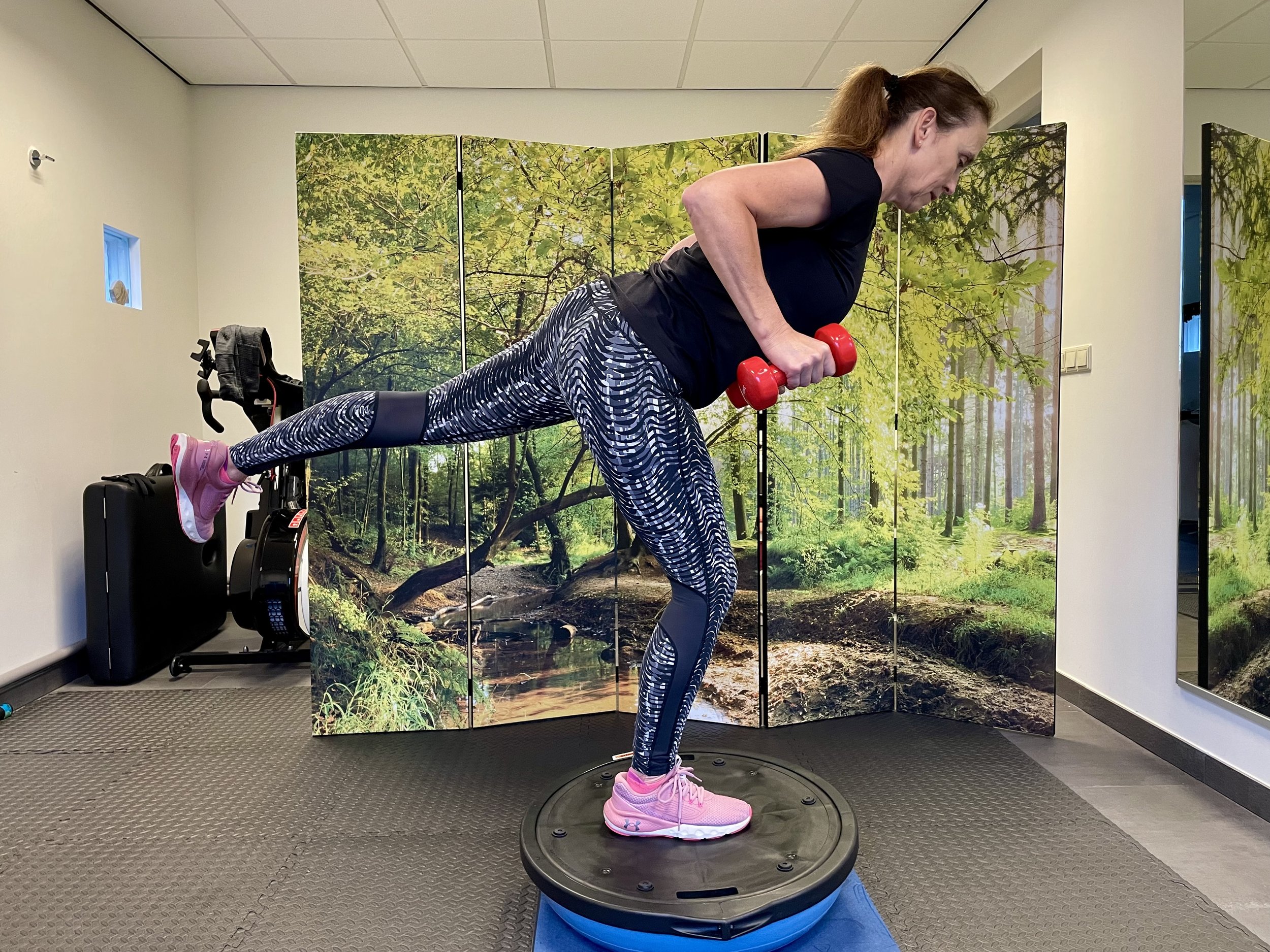 Mom Bosu leg up.jpeg
