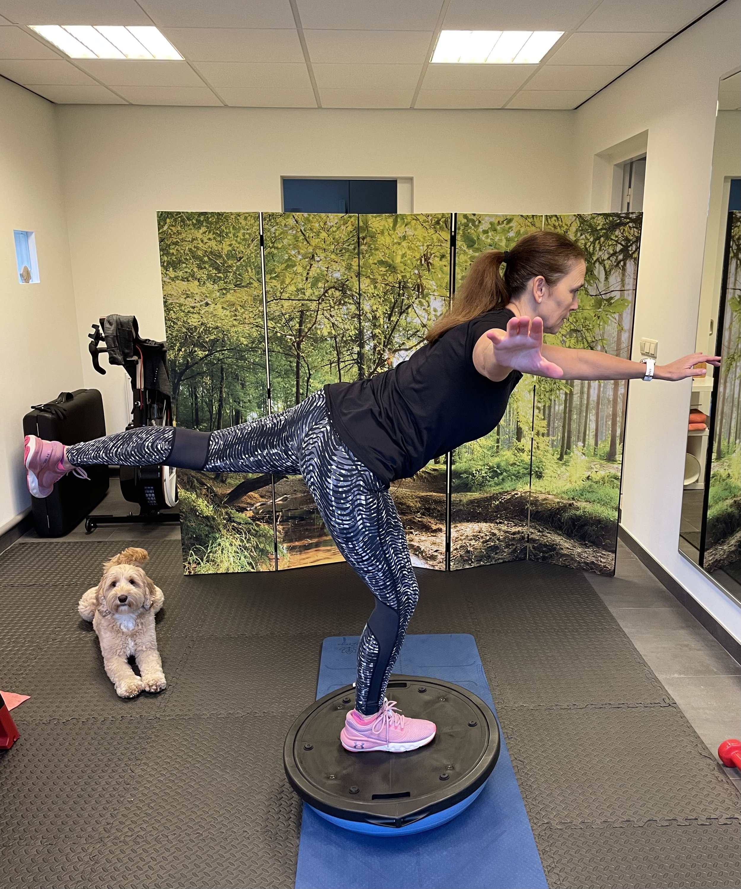 Mom Bosu 2.jpeg