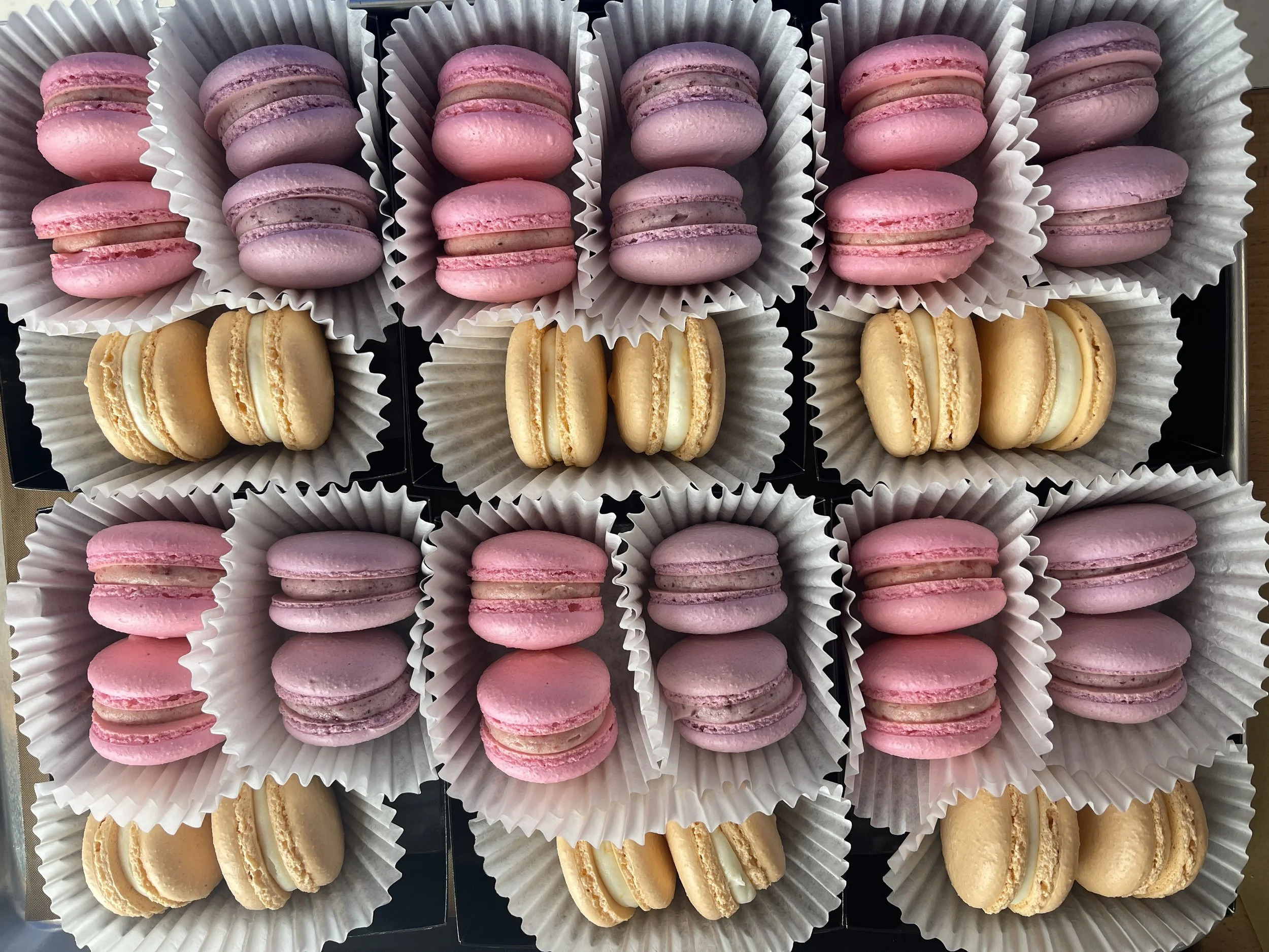 French Macarons - 6 pack