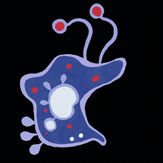 cell_JV.gif