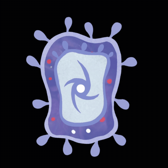 cell_Photo.gif
