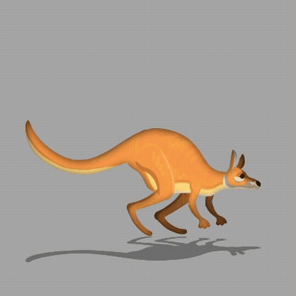 Kangourou-walking 3.gif