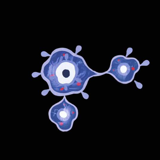 cell_DESIGN GRAPHIQUE.gif
