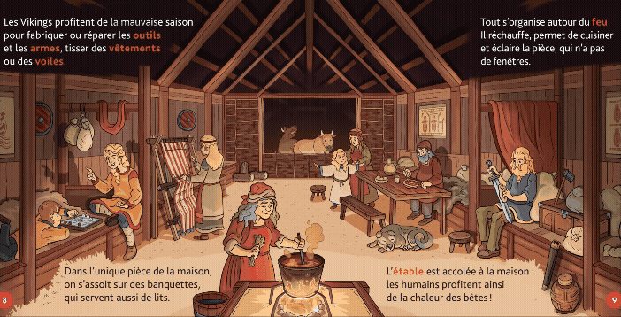 Ptd_Viking_DP3_maison_2500.gif