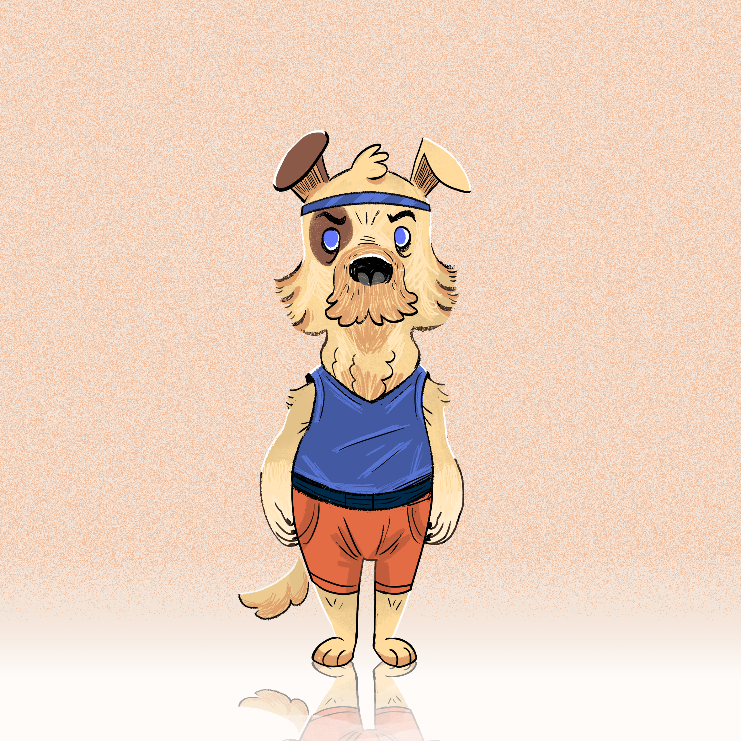 CDC-animaux sport-square.png