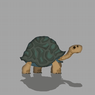 Tortue walking 3.gif