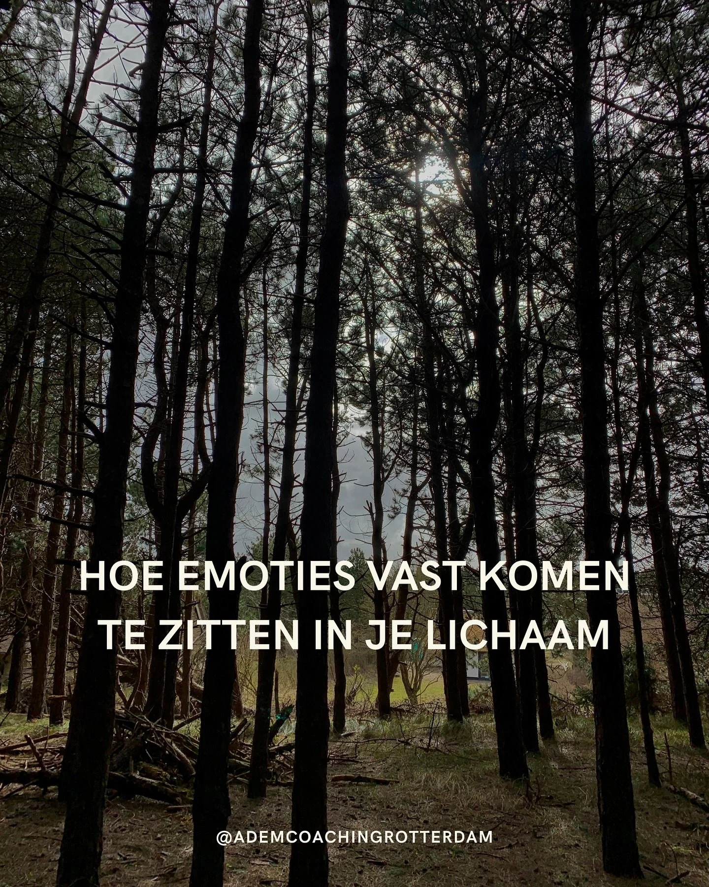 #ademcoaching #ademwerk #zenuwstelsel