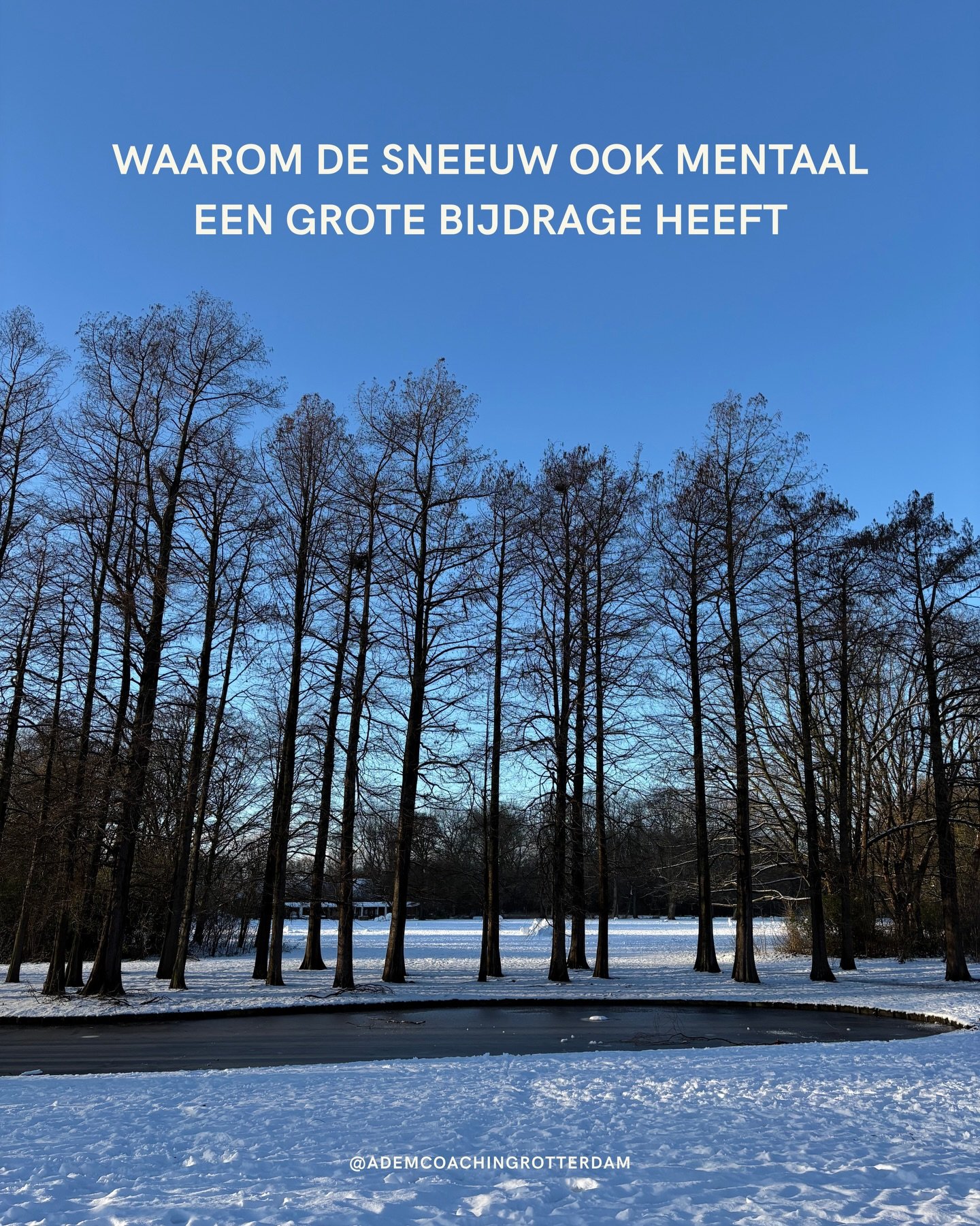 Een fijne en vertragende start van 2026 ❄️