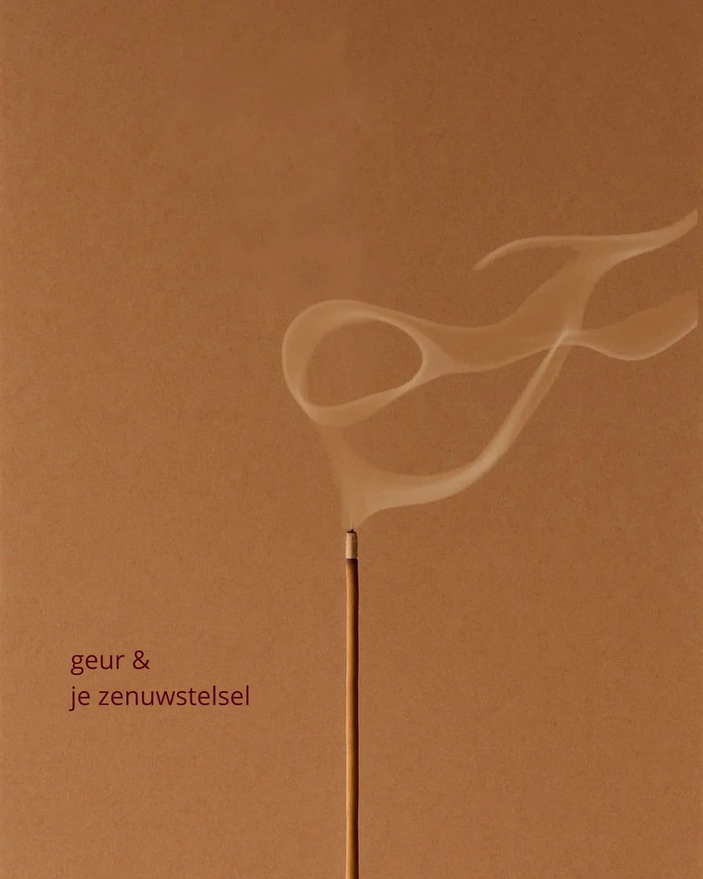 steek jij wel eens wierook of een geurkaars aan? geur gaat rechtstreeks naar je zenuwstelsel en raakt meteen je emoties en herinneringen. daarom kan &eacute;&eacute;n geur je direct kalmeren of juist activeren ೃ࿔ 

#wierook #zenuwstelsel