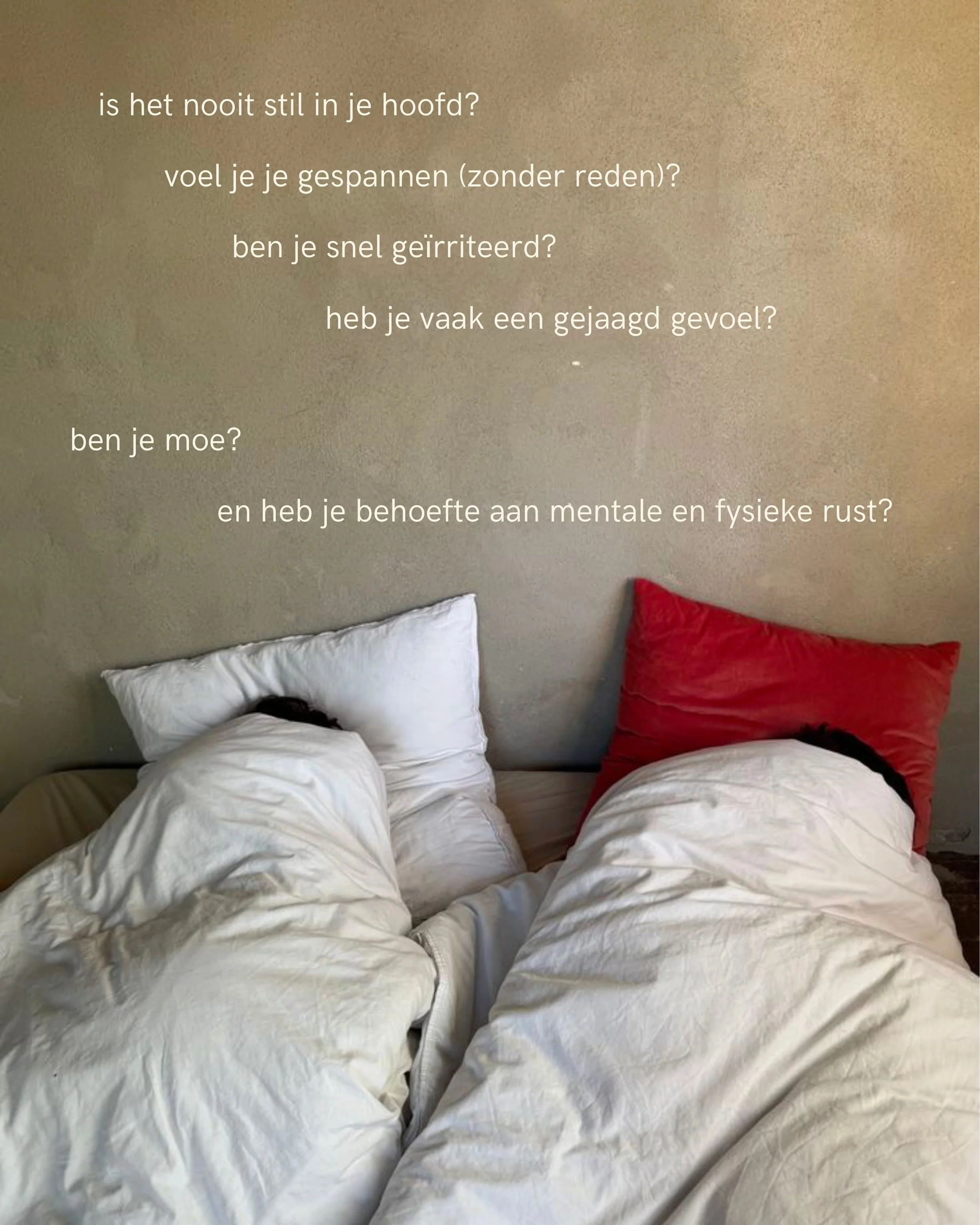 voor als je meer in je hoofd leeft dan in je lijf
voor als je wilt opladen
voor als je wilt onthaasten
en vooral even vertragen 

🌀

#zenuwstelselregulatie #mentalegezondheid #ademcoaching #lichaamswerk