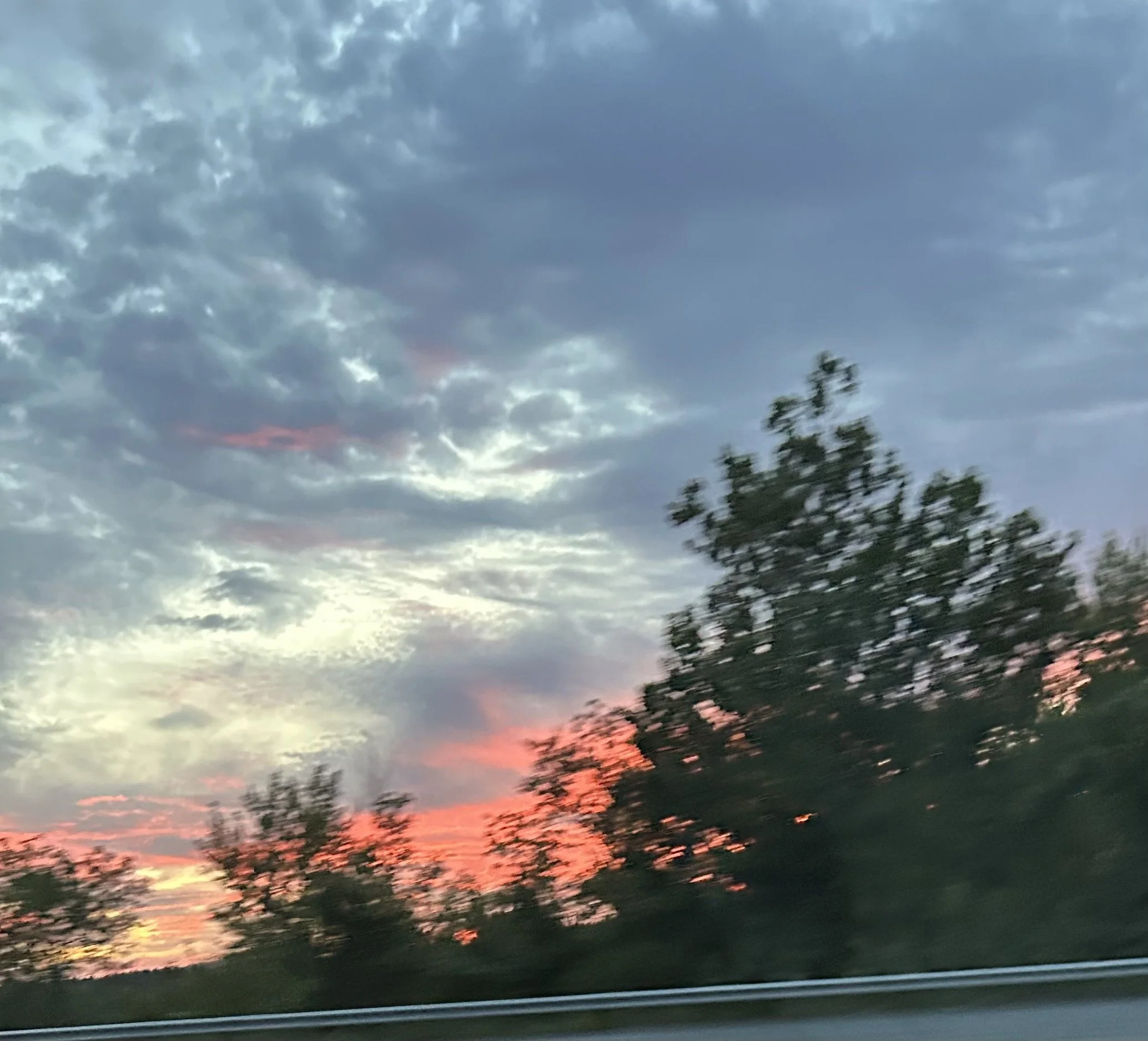 IMG_4172.jpeg