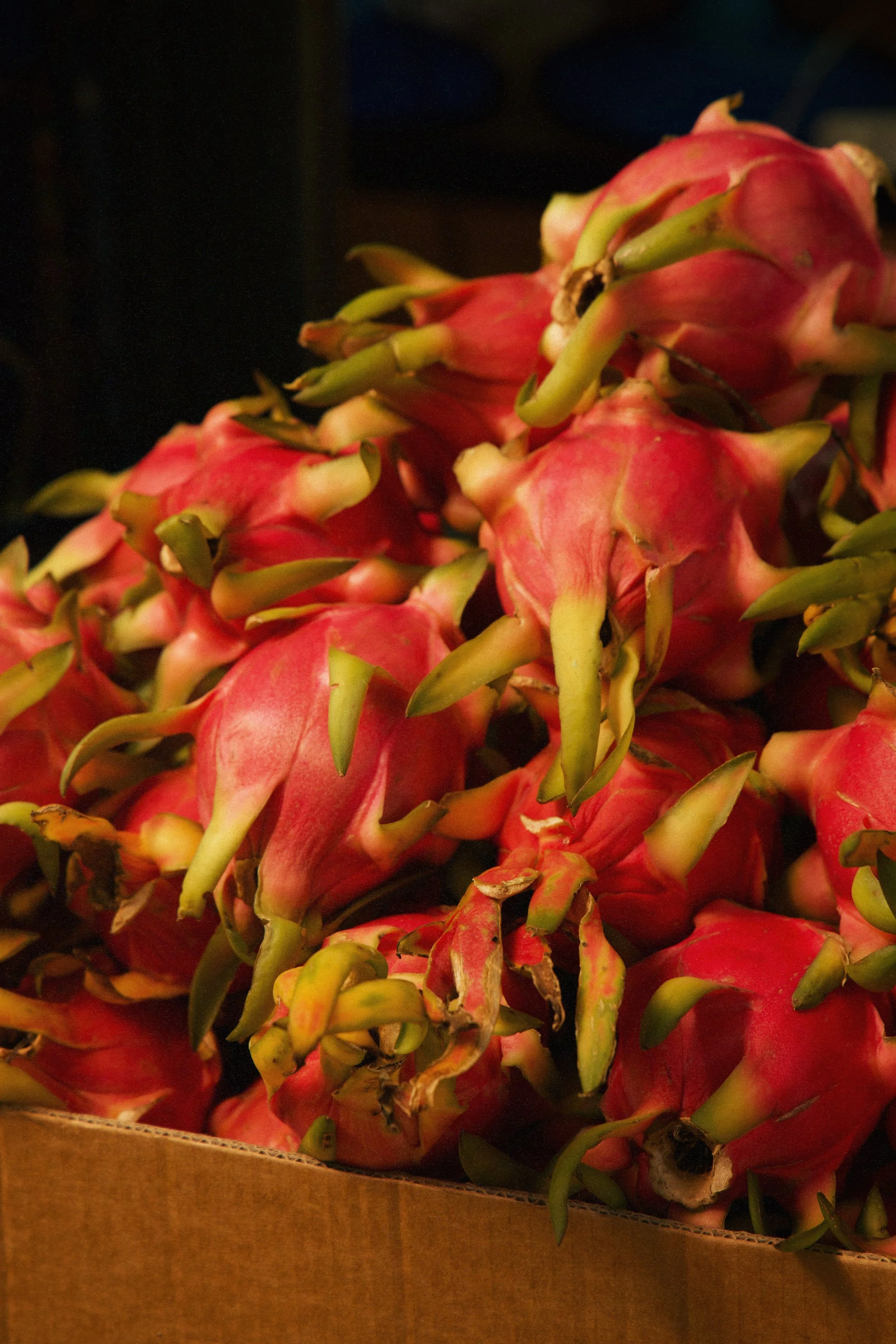 F3778770-F370-4836-A69D-BA4CE46A67A8 2.jpg