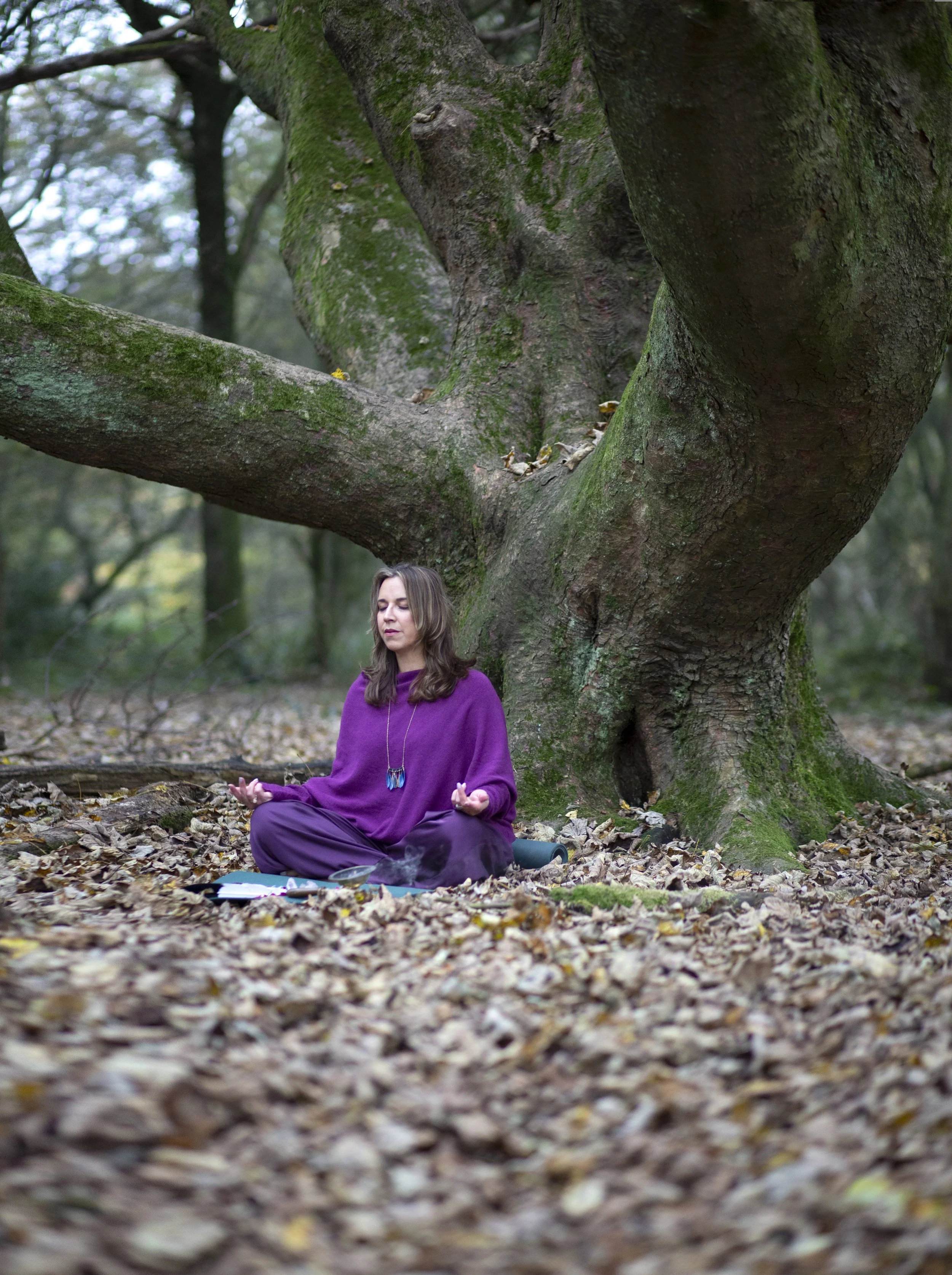Breathwork Assessment — Breathe with Samreen