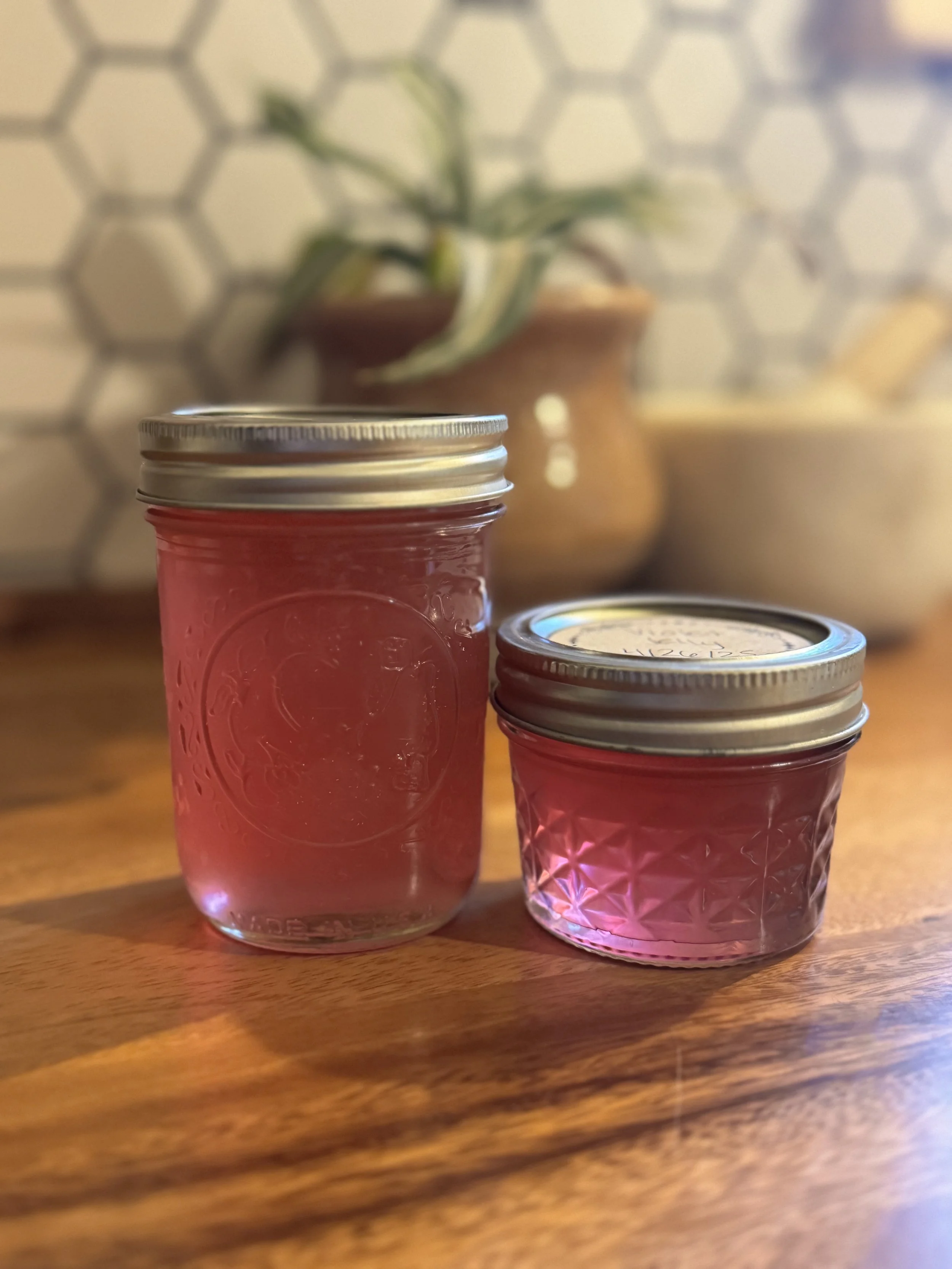 Wild Violet Jelly sourced from our front yard!